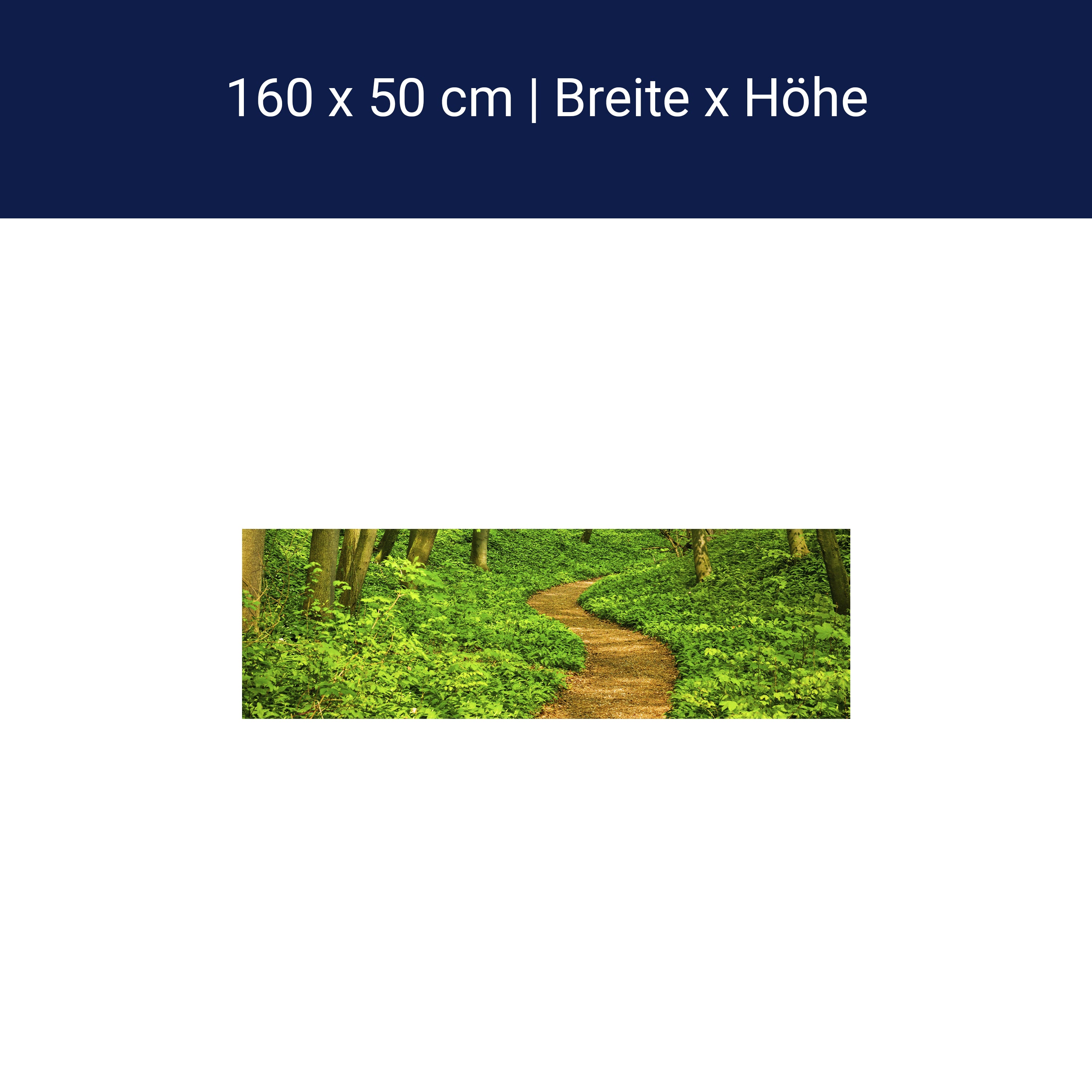 Küchenrückwand Waldpfad M0345 Küchenrückwand Waldpfad M0345