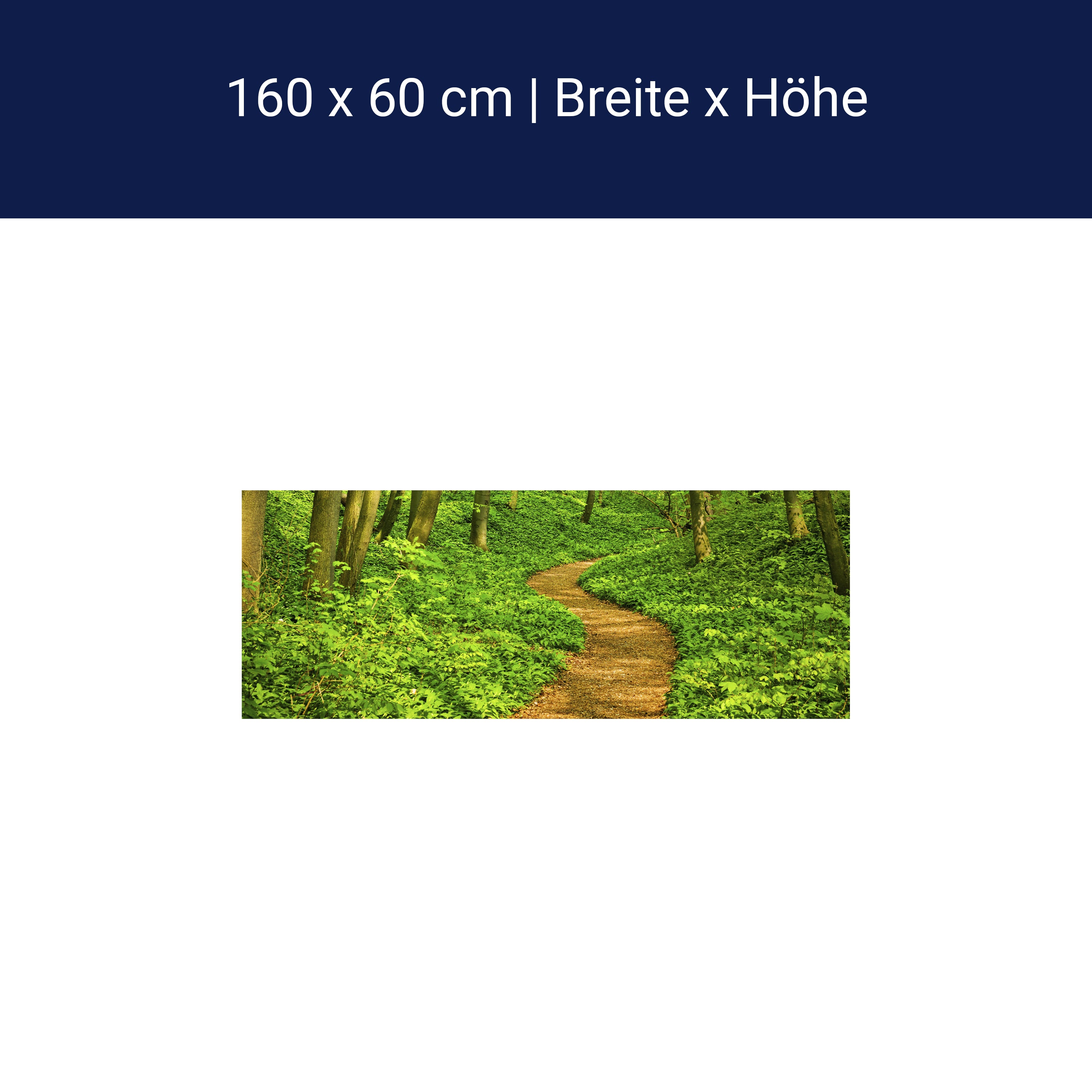 Küchenrückwand Waldpfad M0345 Küchenrückwand Waldpfad M0345