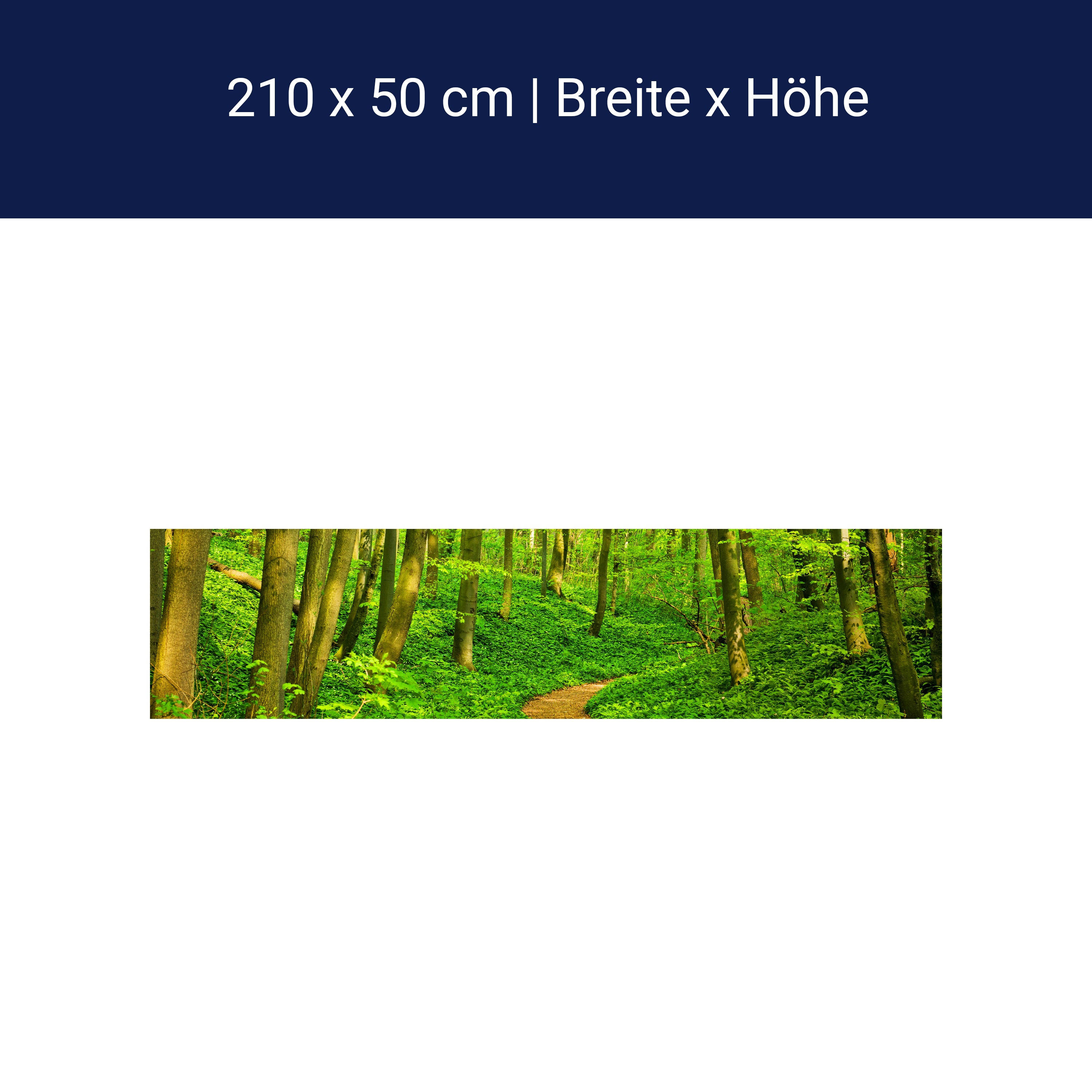 Küchenrückwand Waldpfad M0345 Küchenrückwand Waldpfad M0345