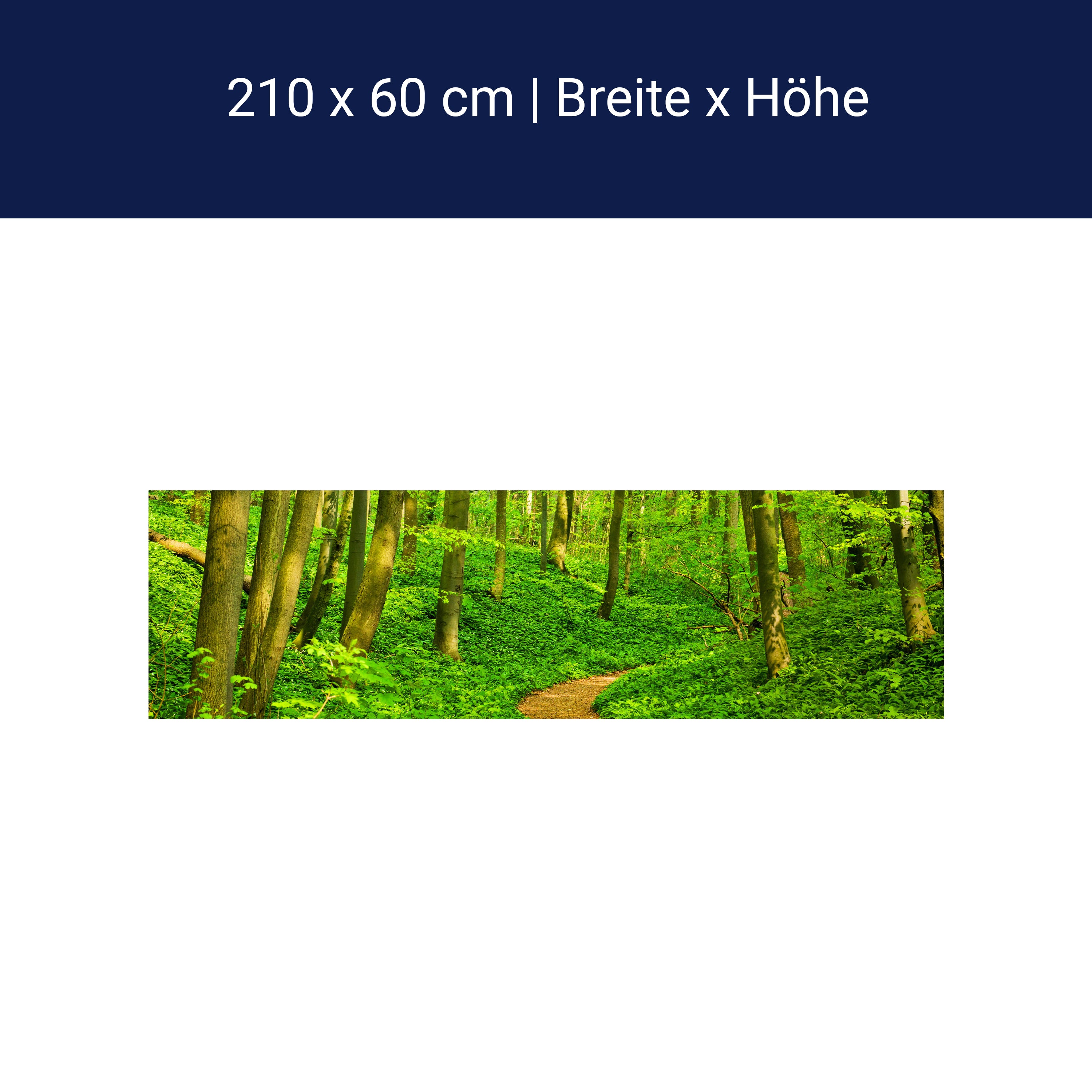 Küchenrückwand Waldpfad M0345 Küchenrückwand Waldpfad M0345