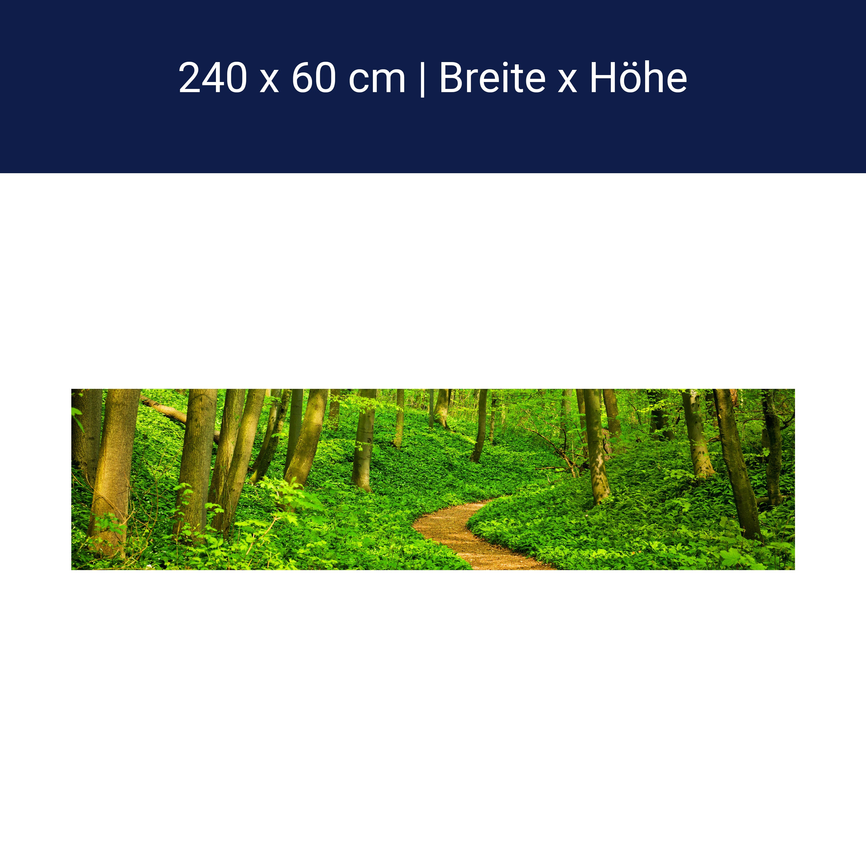 Küchenrückwand Waldpfad M0345 Küchenrückwand Waldpfad M0345