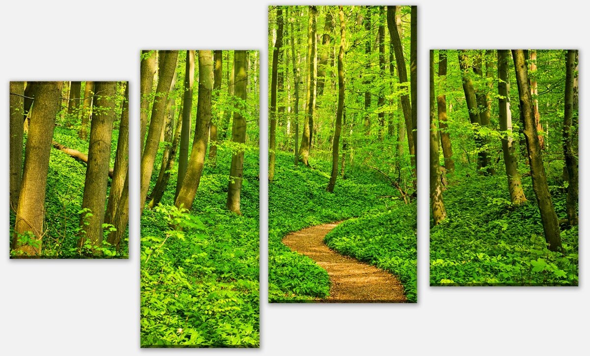 Leinwandbild Mehrteiler Waldpfad M0345 Leinwandbild Mehrteiler Waldpfad M0345