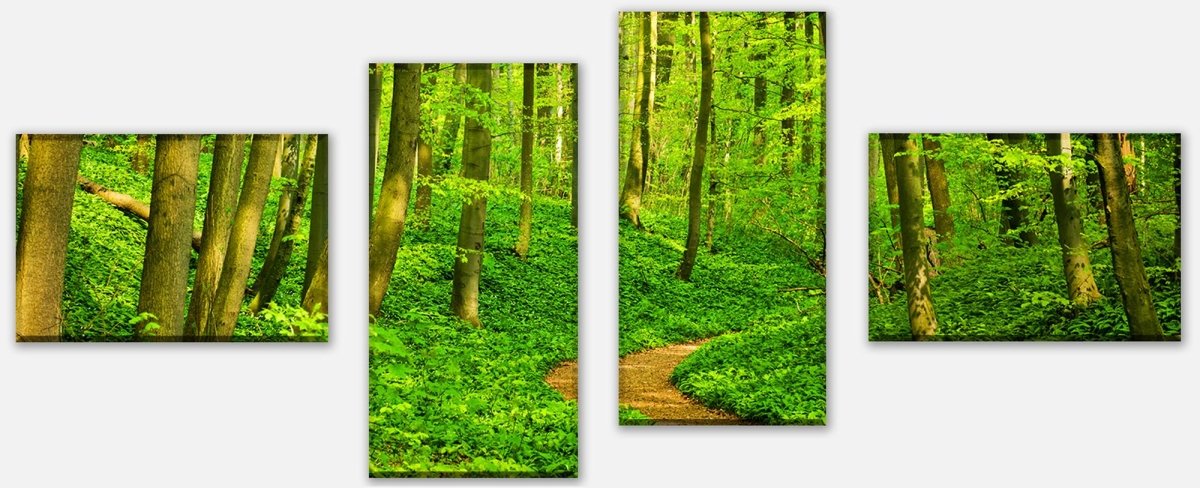 Leinwandbild Mehrteiler Waldpfad M0345 Leinwandbild Mehrteiler Waldpfad M0345