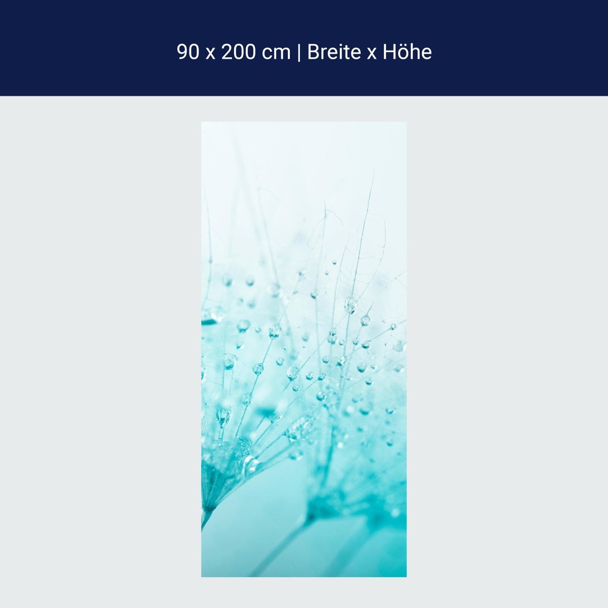 Duschwand Pusteblume Türkis M0347 Duschwand Pusteblume Türkis M0347