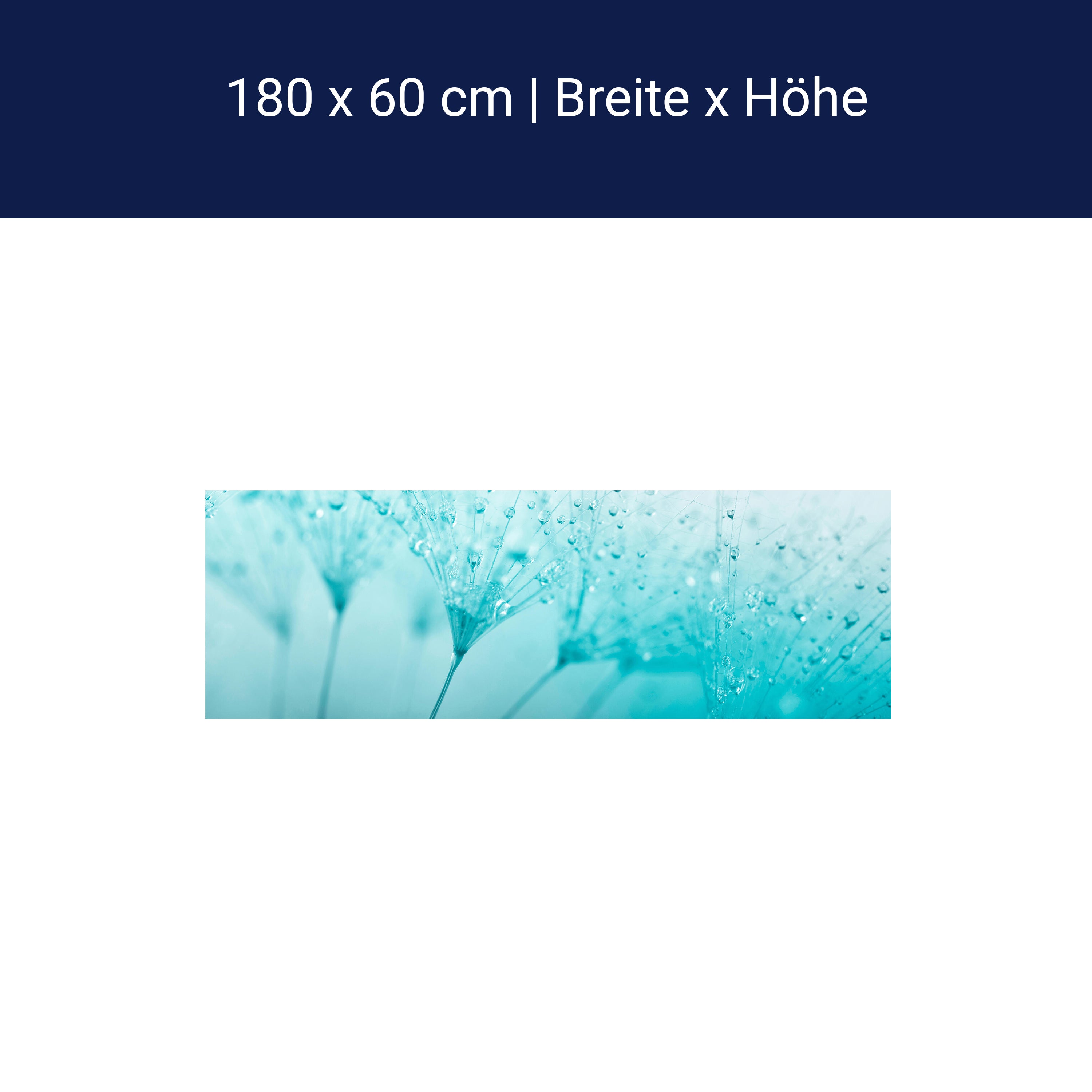 Küchenrückwand Pusteblume Türkis M0347 Küchenrückwand Pusteblume Türkis M0347