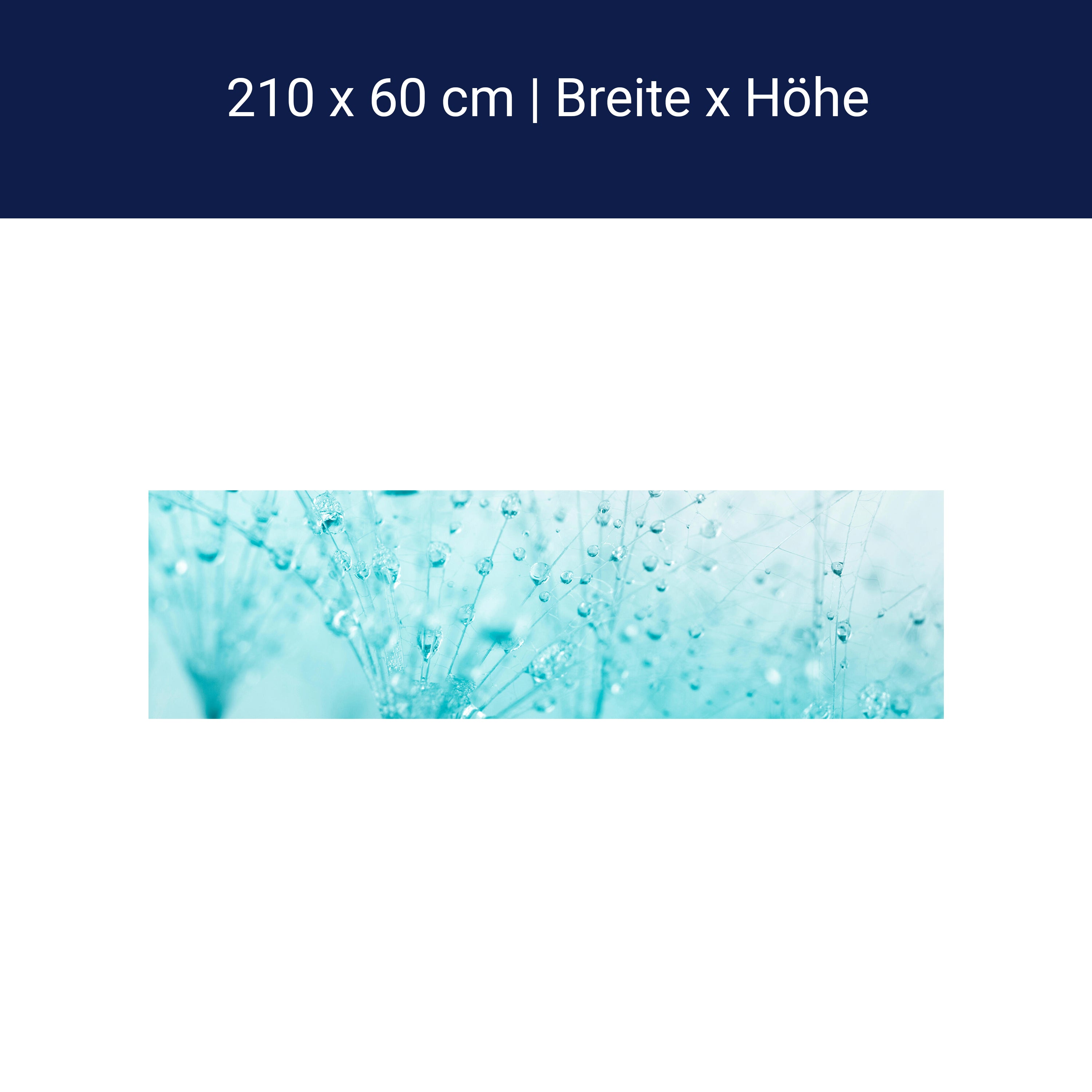 Küchenrückwand Pusteblume Türkis M0347 Küchenrückwand Pusteblume Türkis M0347