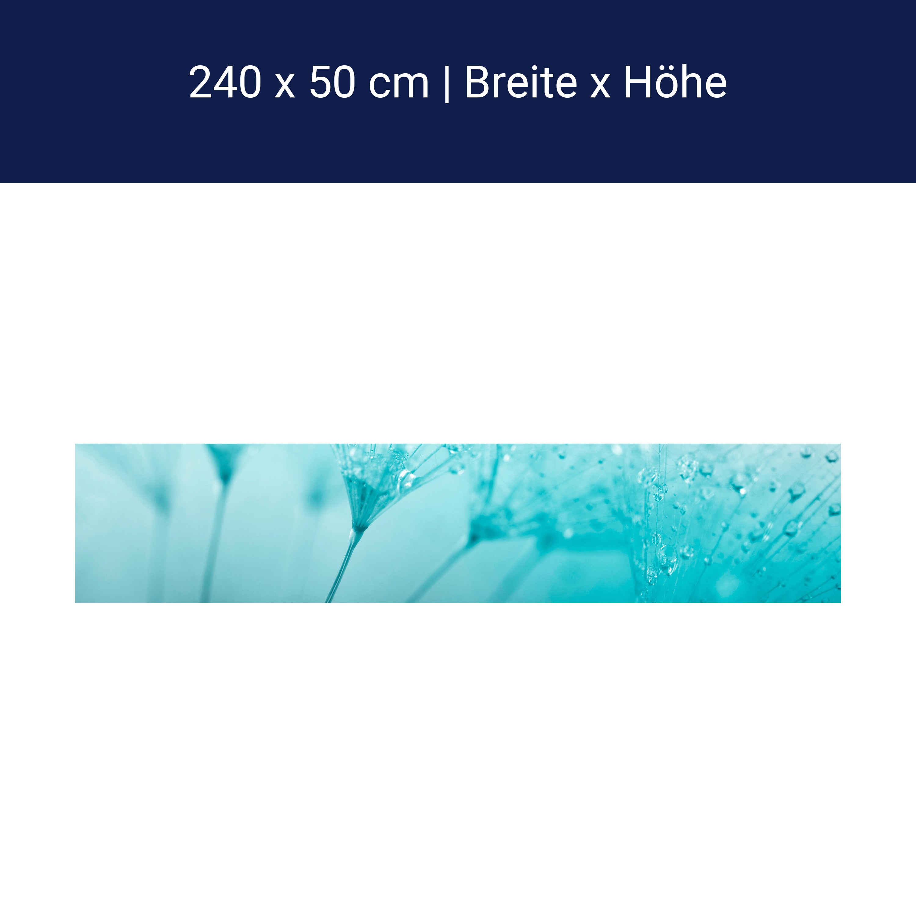 Küchenrückwand Pusteblume Türkis M0347 Küchenrückwand Pusteblume Türkis M0347