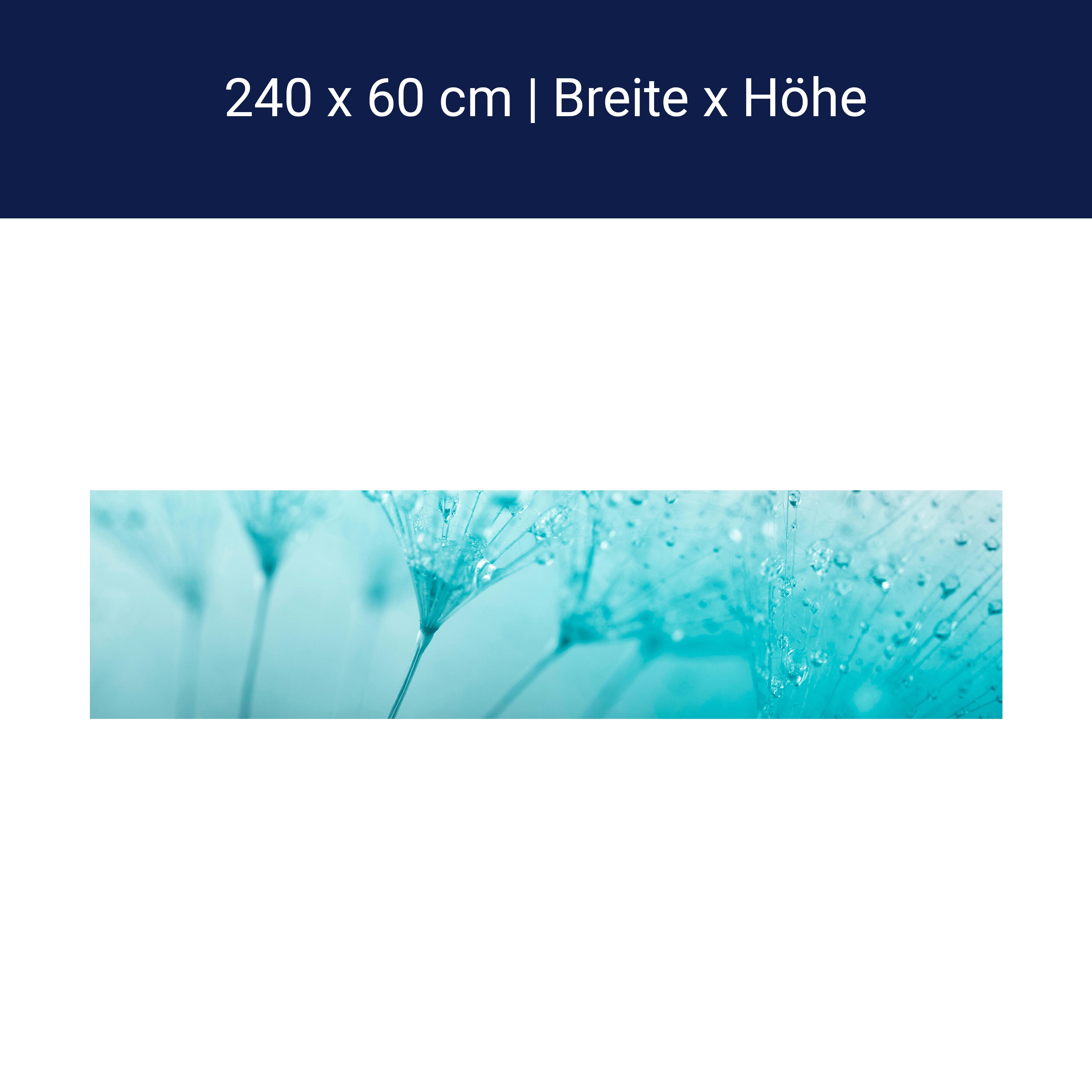 Küchenrückwand Pusteblume Türkis M0347 Küchenrückwand Pusteblume Türkis M0347