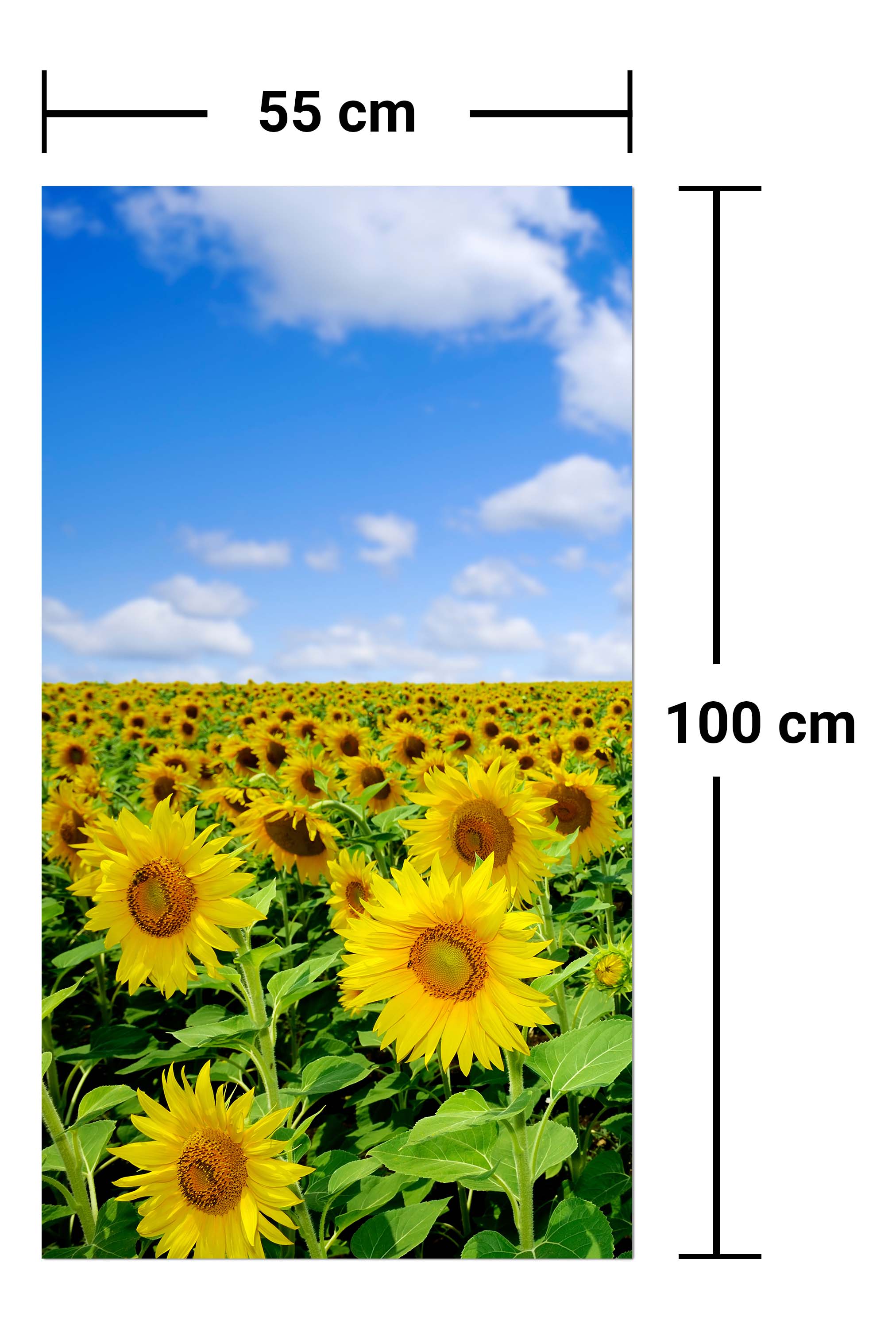 Garderobe Sonnenblumenfeld M0348 entdecken - Bild 7 Garderobe Sonnenblumenfeld M0348 entdecken - Bild 7