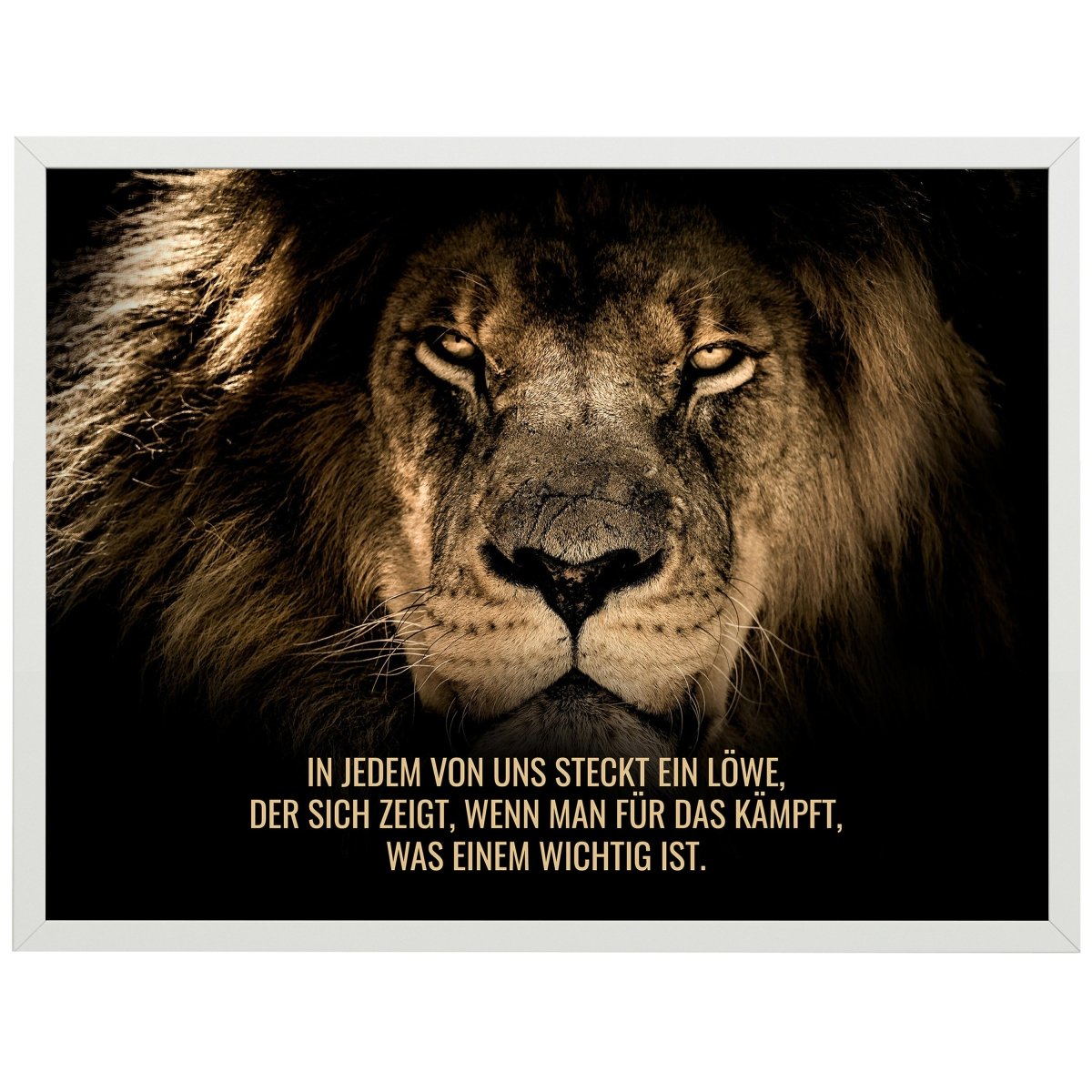 wandmotiv24 Poster, Poster - Motivation, Spruch, Löwe - M0348 - Bild 1