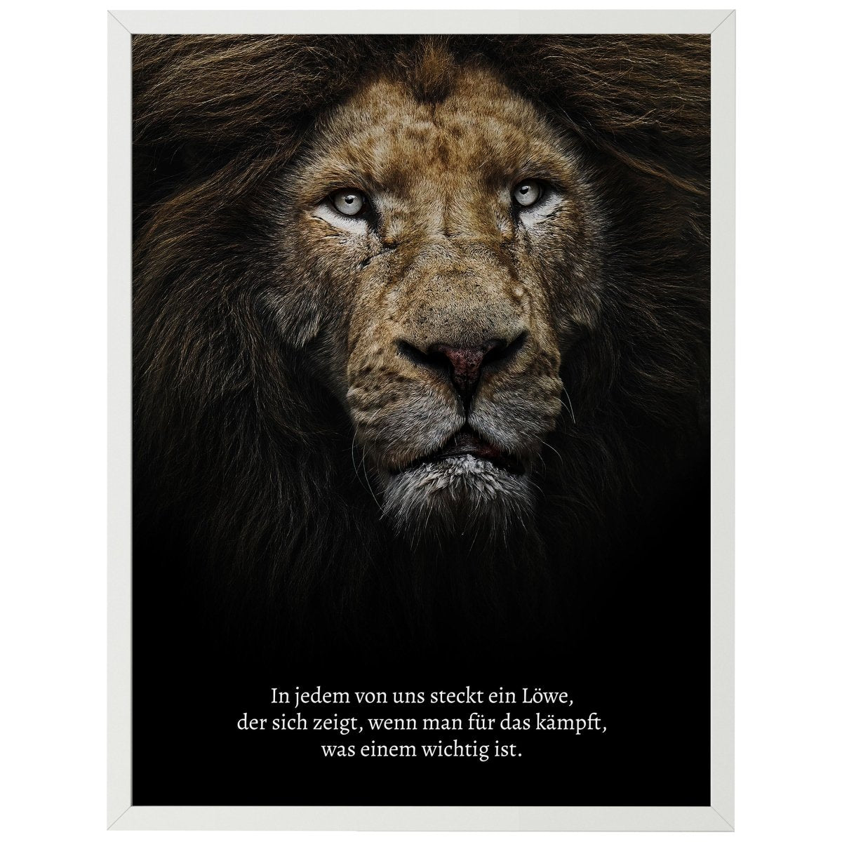 wandmotiv24 Poster, Poster - Motivation, Spruch, Löwe - M0352 - Bild 1 wandmotiv24 Poster, Poster - Motivation, Spruch, Löwe - M0352 - Bild 1