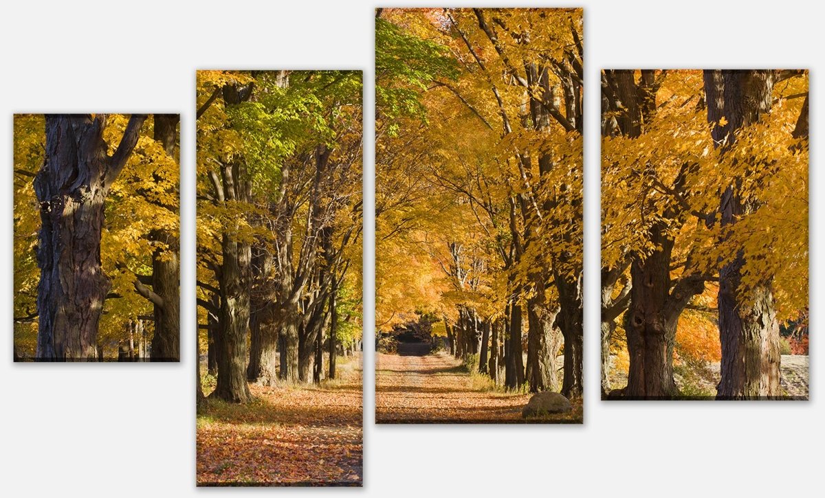 Leinwandbild Mehrteiler Herbstallee M0360 Leinwandbild Mehrteiler Herbstallee M0360