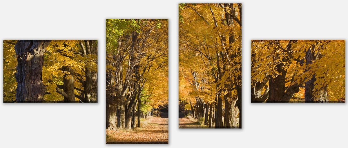 Leinwandbild Mehrteiler Herbstallee M0360 Leinwandbild Mehrteiler Herbstallee M0360