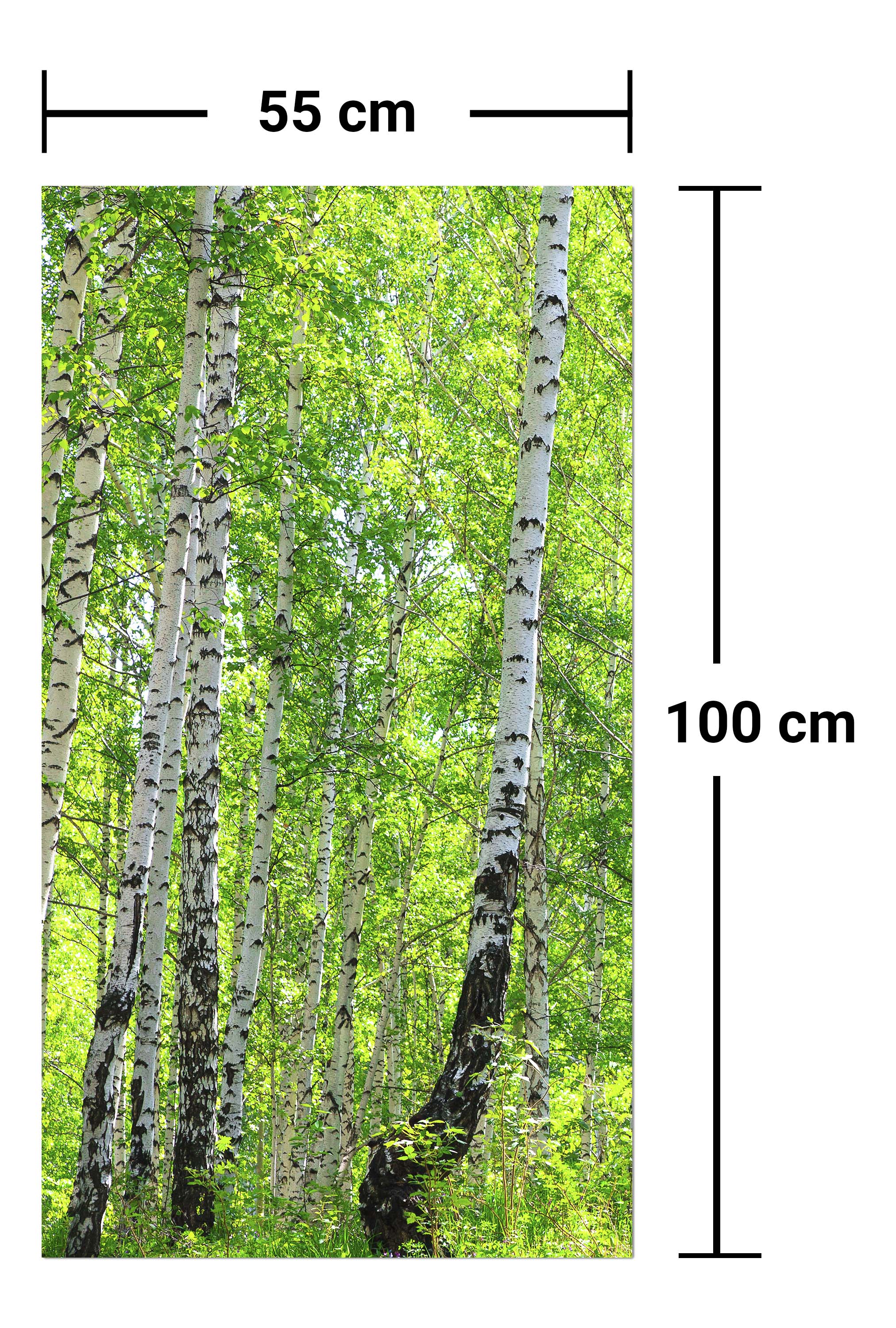 Garderobe Birkenwald M0363 entdecken - Bild 7 Garderobe Birkenwald M0363 entdecken - Bild 7