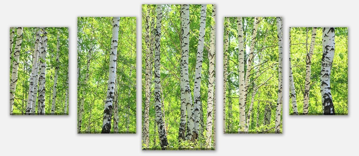 Leinwandbild Mehrteiler Birkenwald M0363 entdecken - Bild 1 Leinwandbild Mehrteiler Birkenwald M0363 entdecken - Bild 1