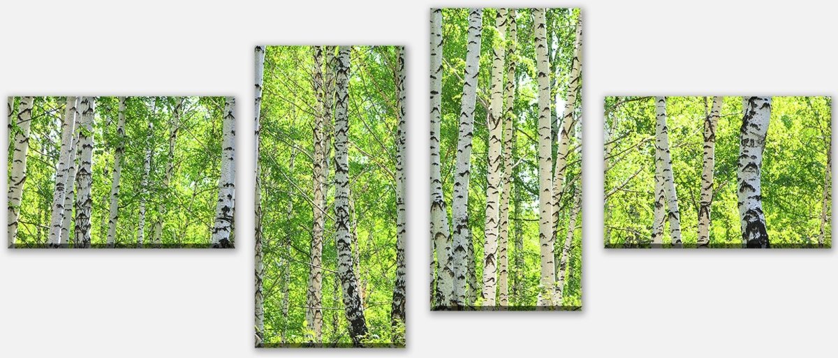 Leinwandbild Mehrteiler Birkenwald M0363 Leinwandbild Mehrteiler Birkenwald M0363