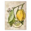 Leinwandbild Obst & Gemüse, Hochformat, Zitrone, Zeichnung, Küche M0389