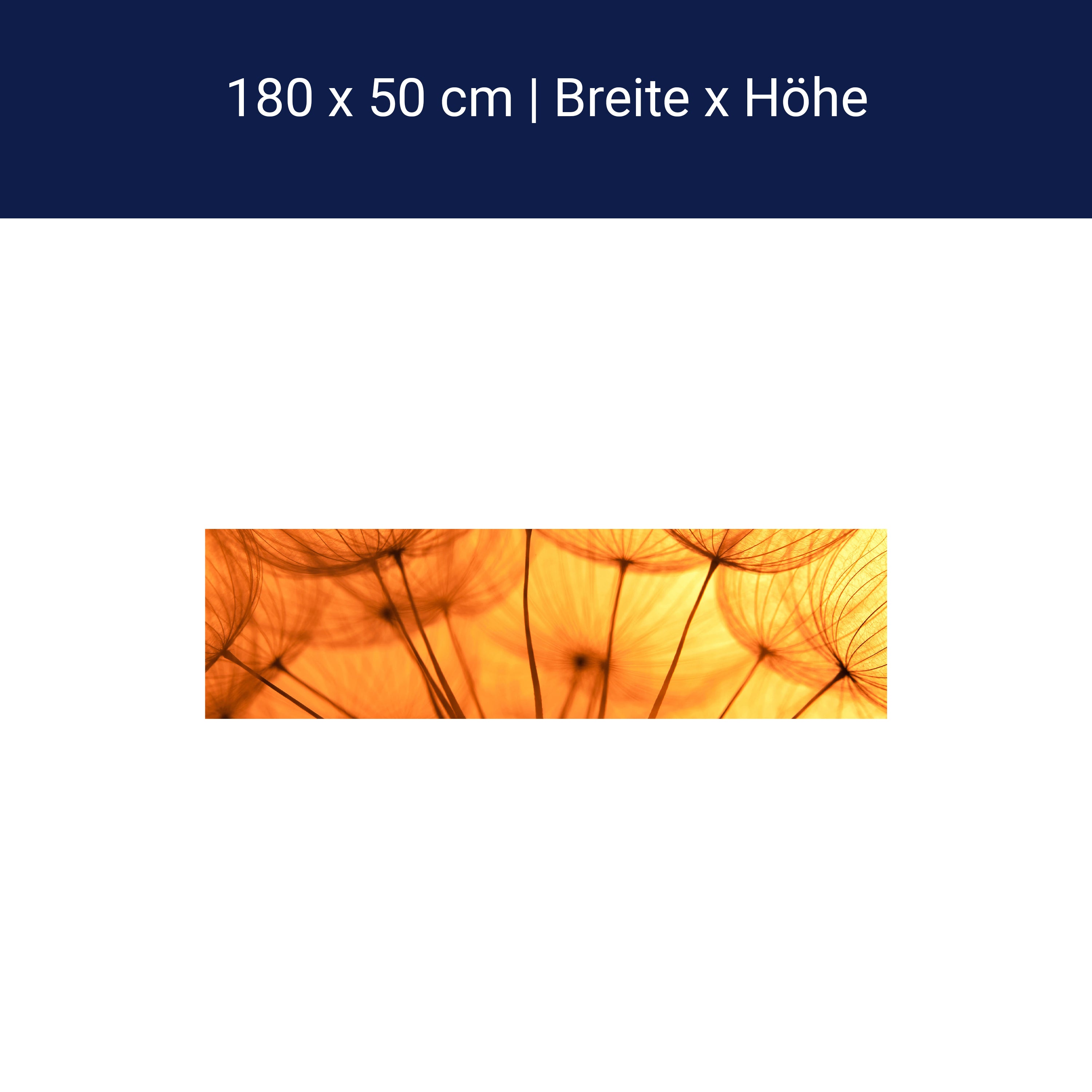 Küchenrückwand Pusteblume Orange M0390 Küchenrückwand Pusteblume Orange M0390