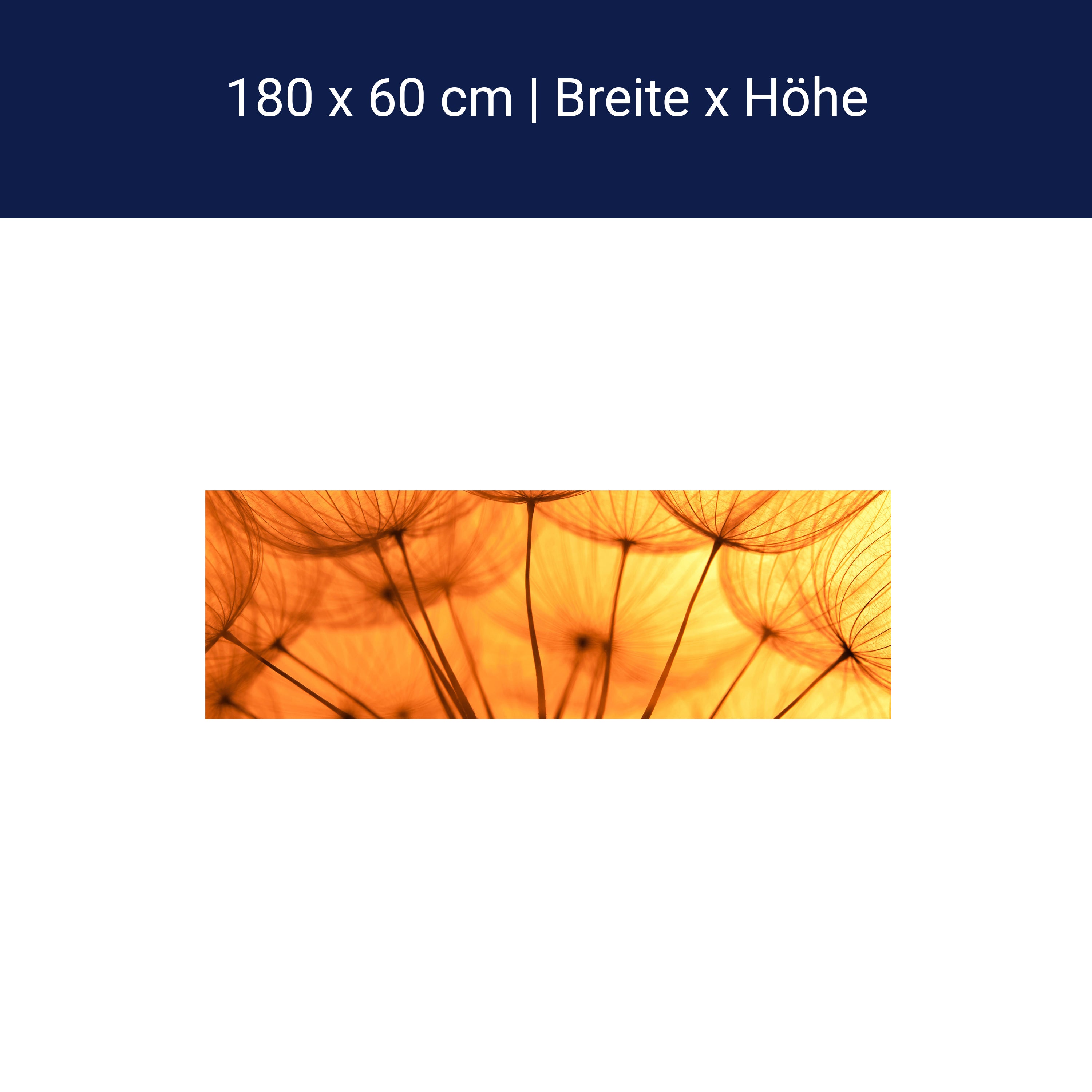 Küchenrückwand Pusteblume Orange M0390 Küchenrückwand Pusteblume Orange M0390