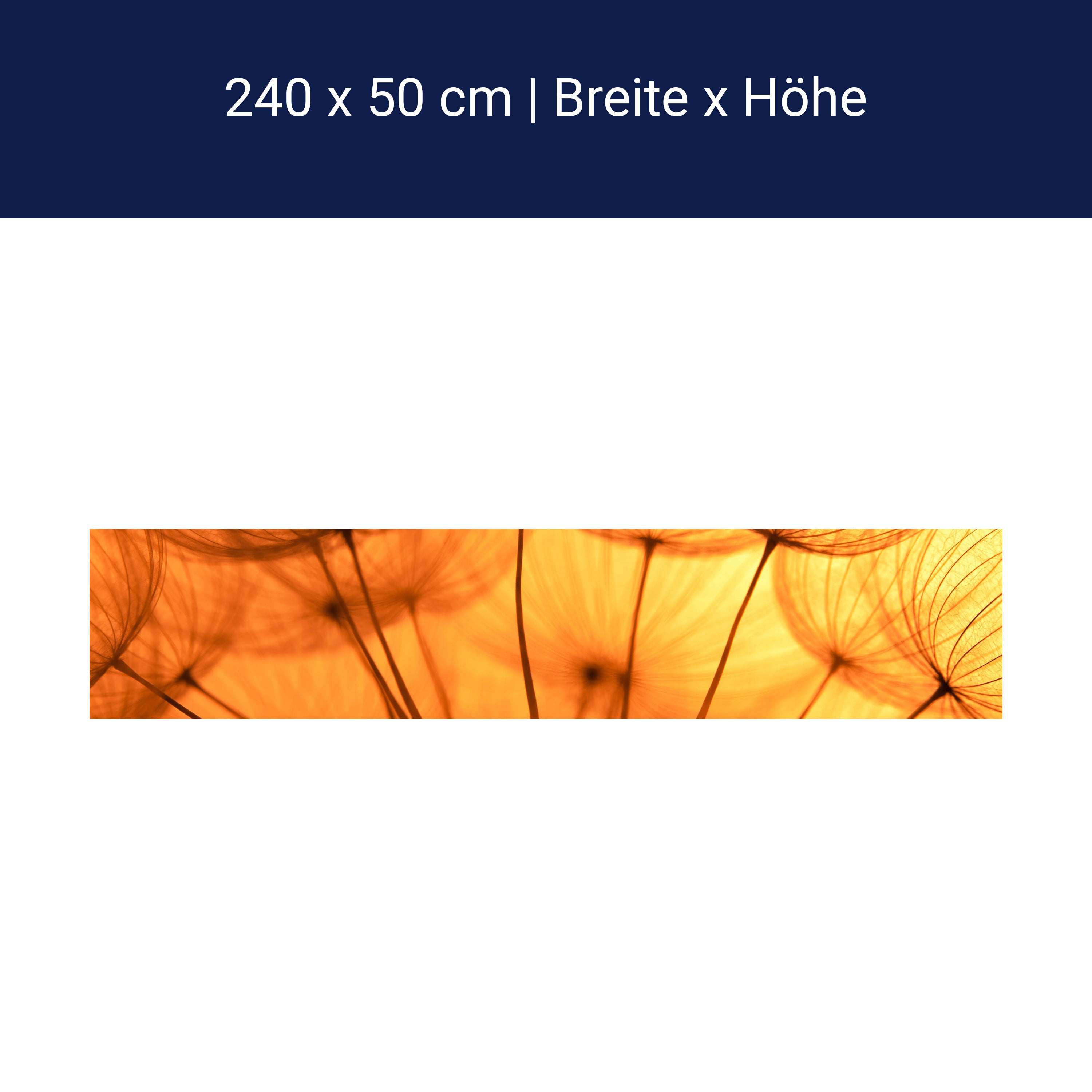 Küchenrückwand Pusteblume Orange M0390 Küchenrückwand Pusteblume Orange M0390