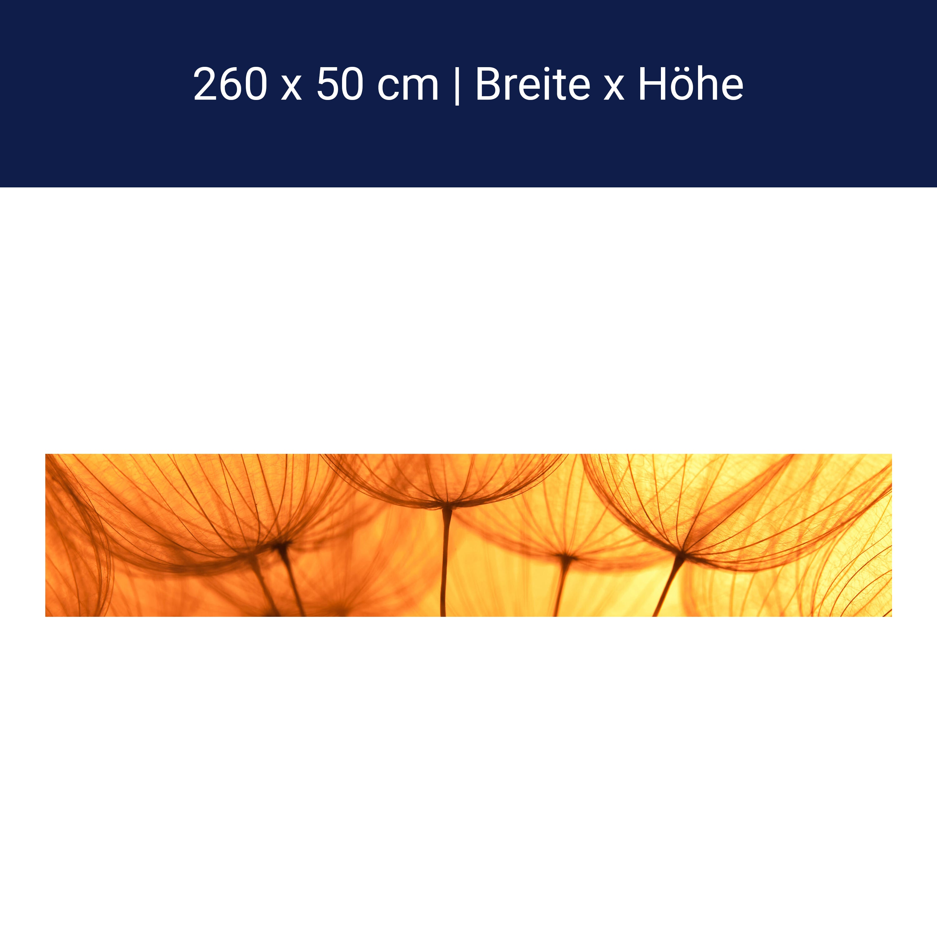 Küchenrückwand Pusteblume Orange M0390 Küchenrückwand Pusteblume Orange M0390