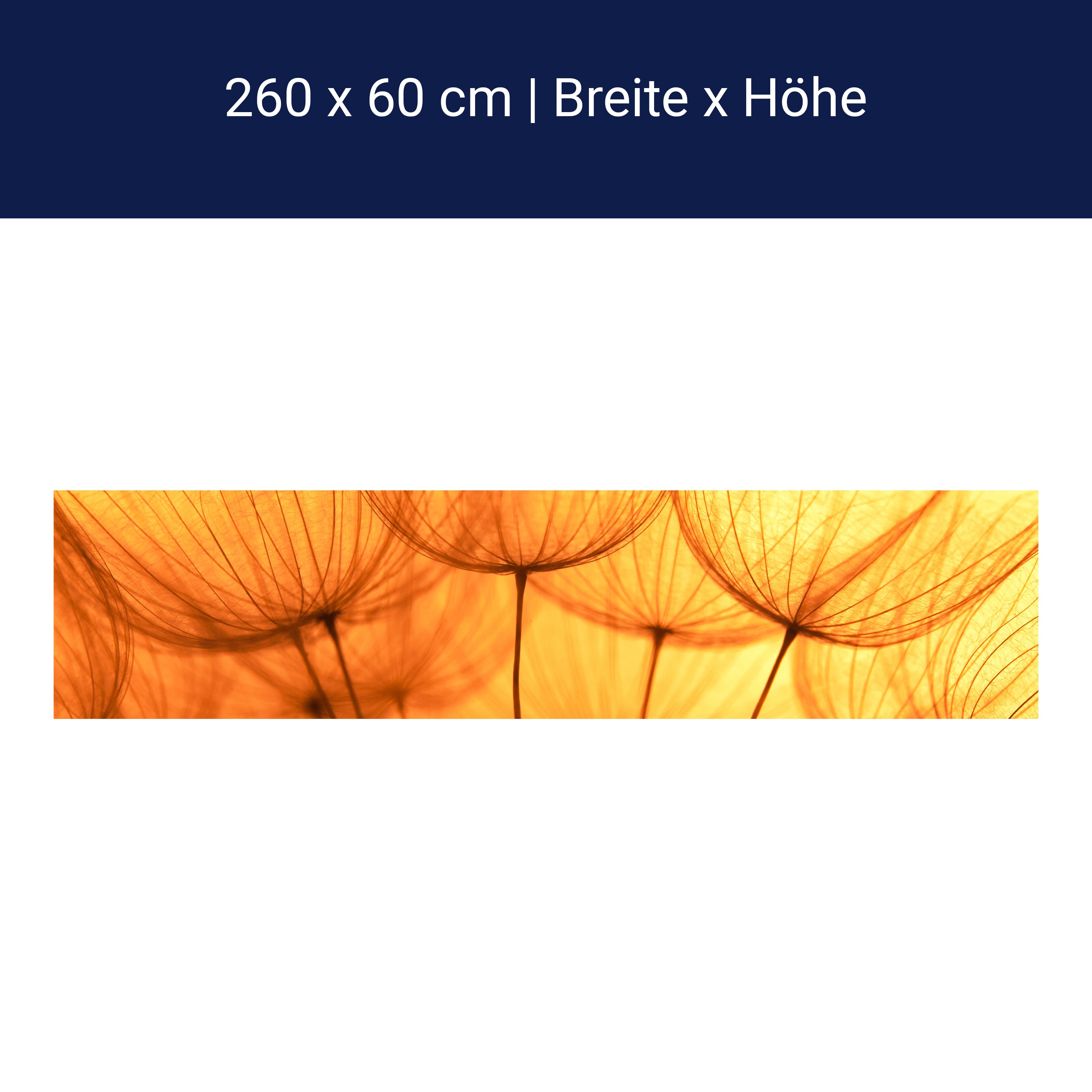 Küchenrückwand Pusteblume Orange M0390 Küchenrückwand Pusteblume Orange M0390