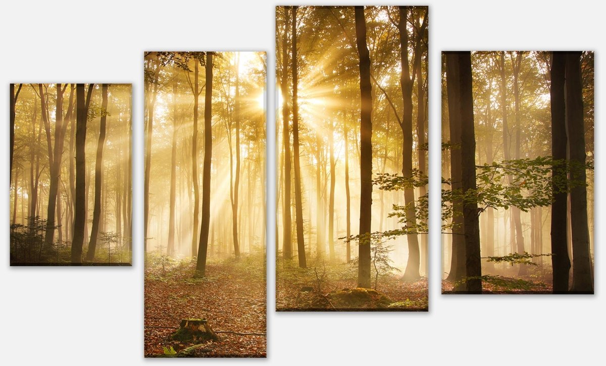 Leinwandbild Mehrteiler Wald am Morgen M0391 Leinwandbild Mehrteiler Wald am Morgen M0391