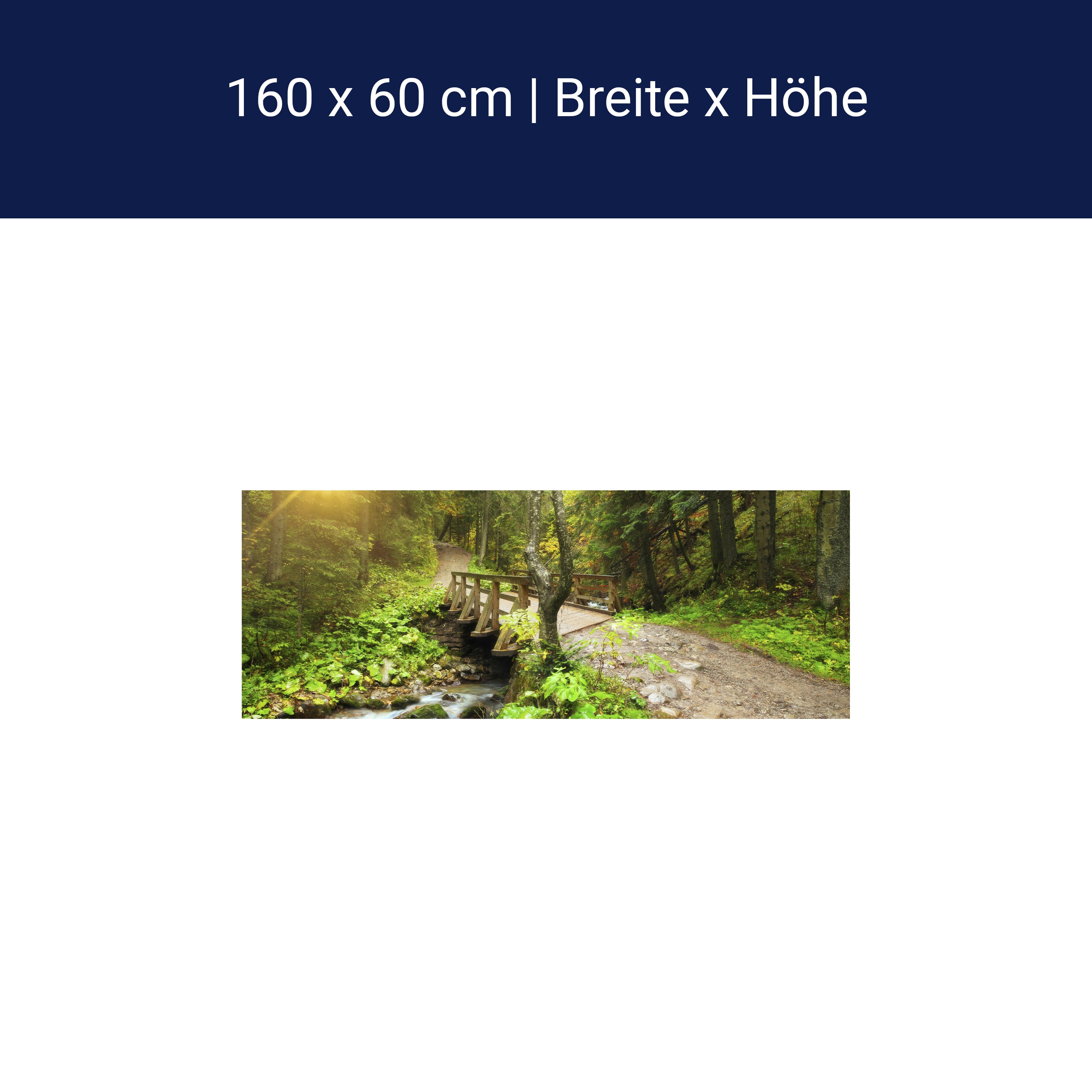 Küchenrückwand Waldweg mit Bach M0397 Küchenrückwand Waldweg mit Bach M0397