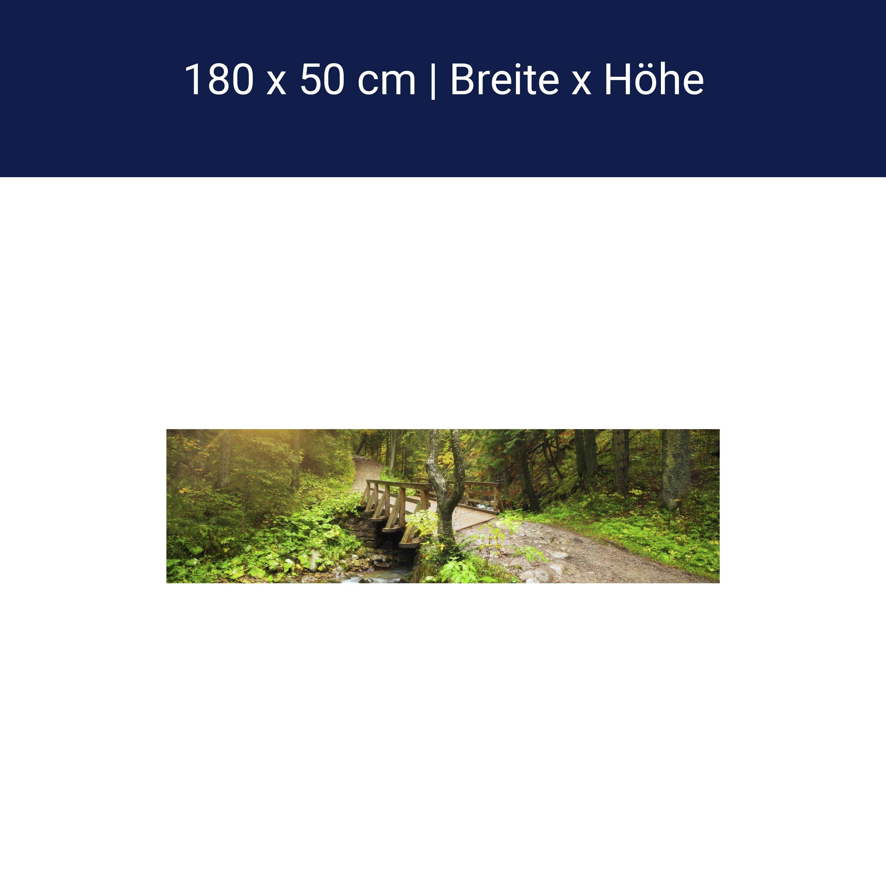 Küchenrückwand Waldweg mit Bach M0397 Küchenrückwand Waldweg mit Bach M0397