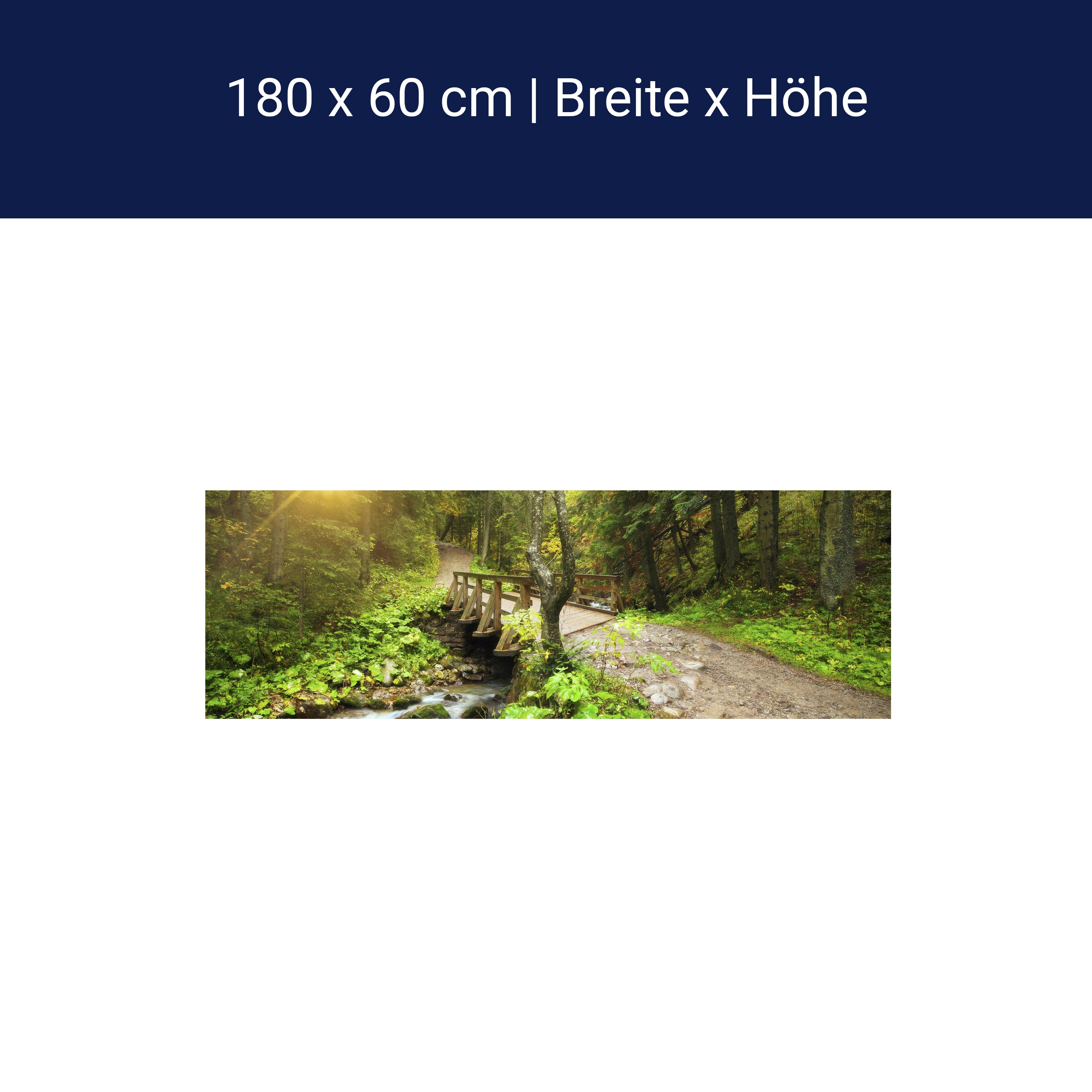 Küchenrückwand Waldweg mit Bach M0397 Küchenrückwand Waldweg mit Bach M0397