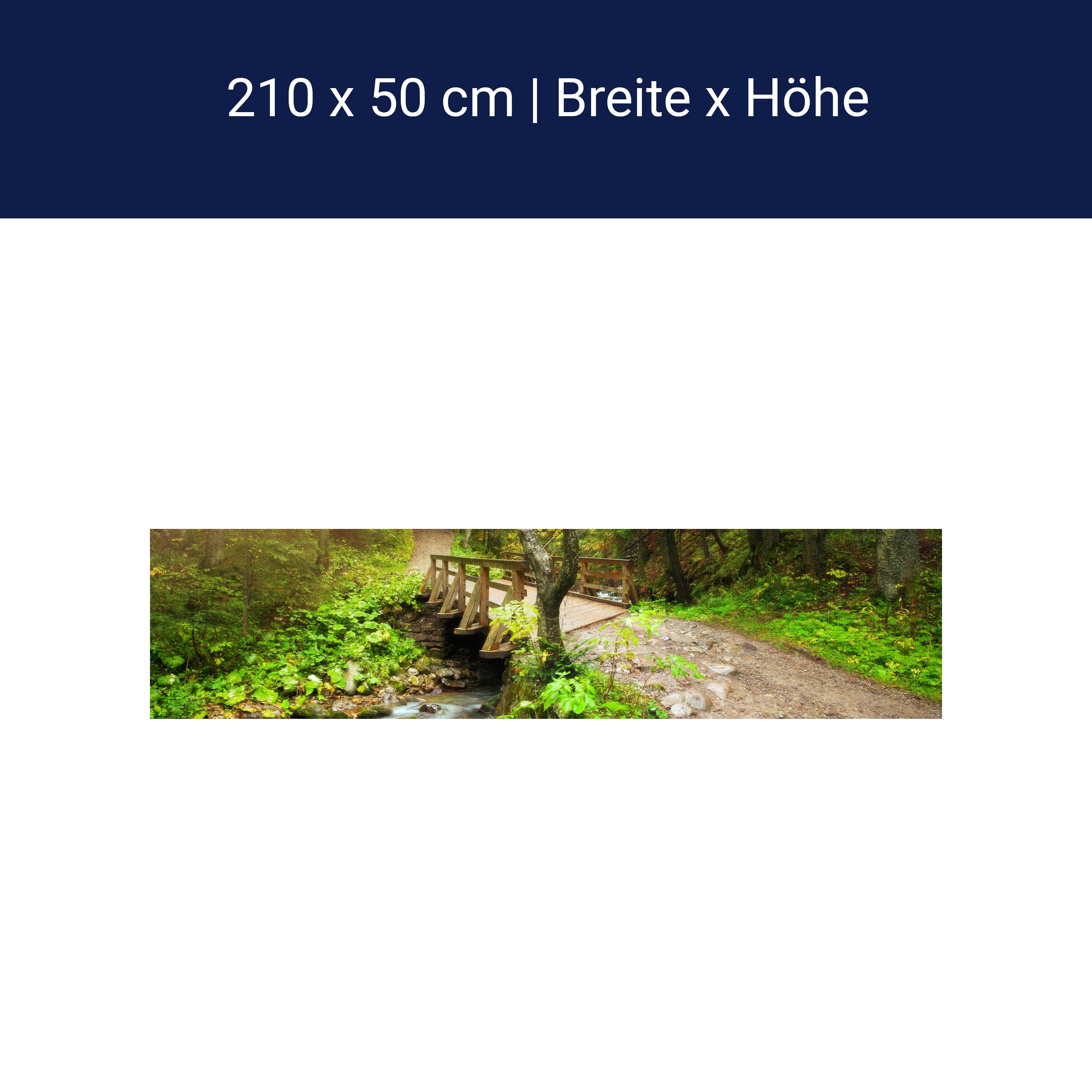 Küchenrückwand Waldweg mit Bach M0397 Küchenrückwand Waldweg mit Bach M0397
