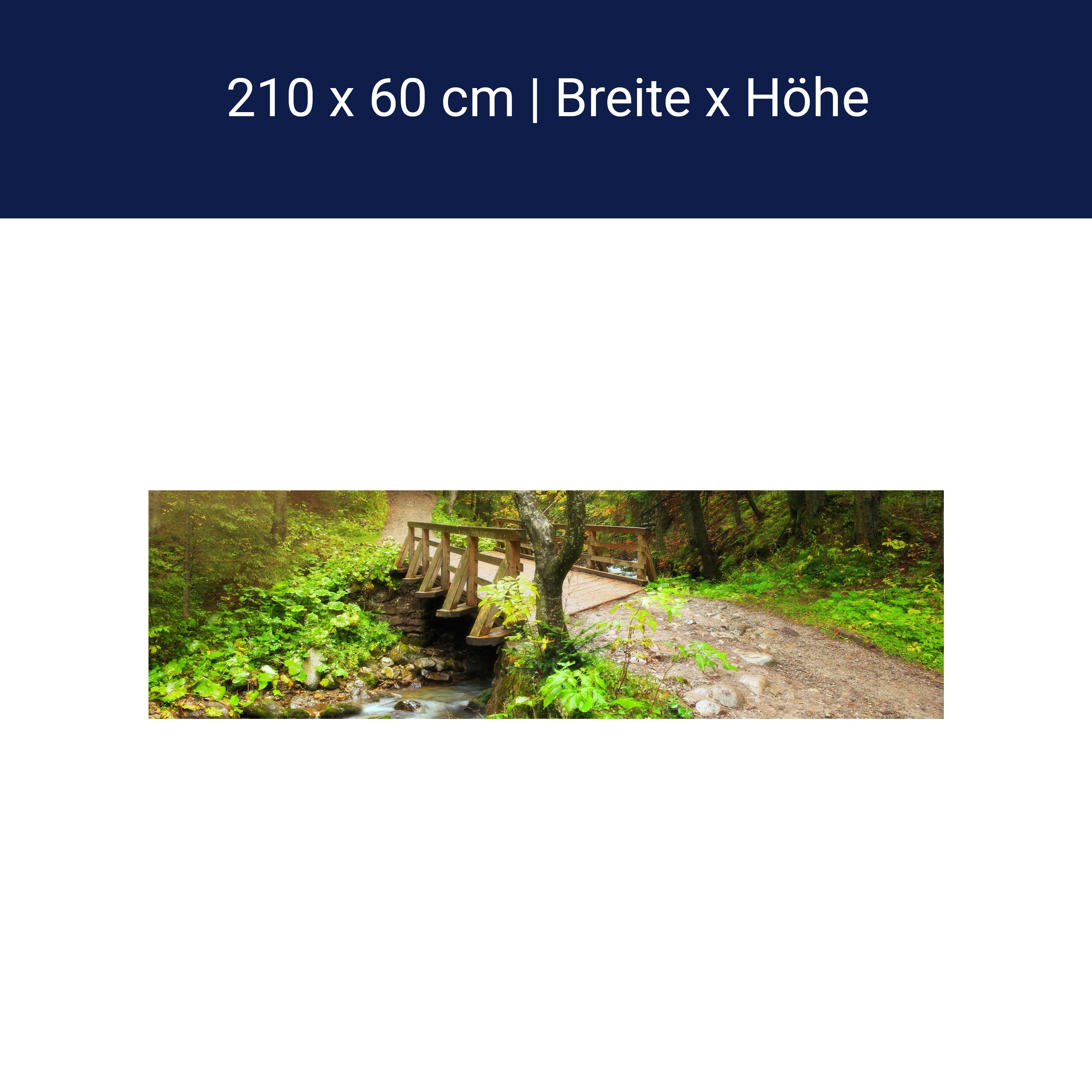 Küchenrückwand Waldweg mit Bach M0397 Küchenrückwand Waldweg mit Bach M0397