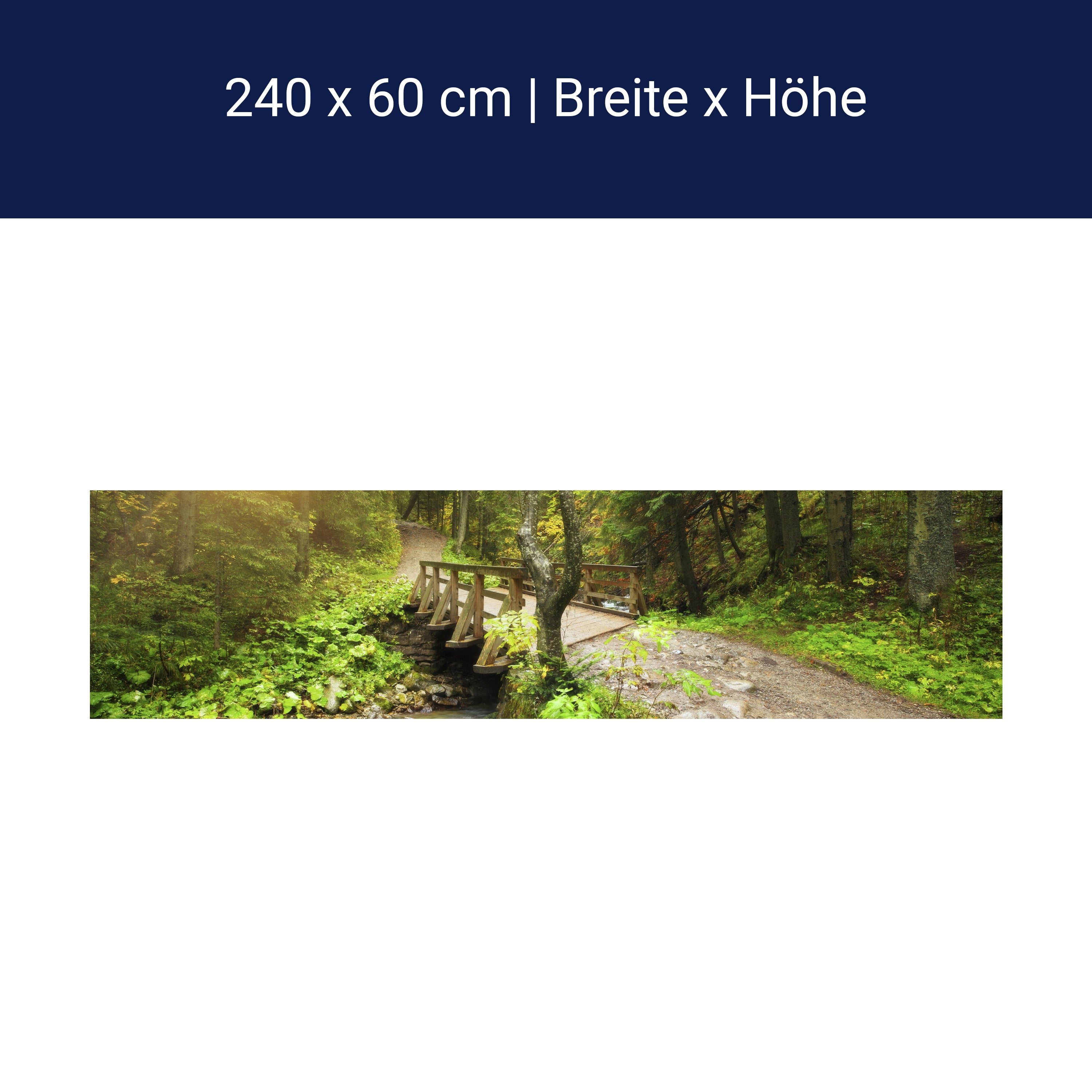 Küchenrückwand Waldweg mit Bach M0397 Küchenrückwand Waldweg mit Bach M0397