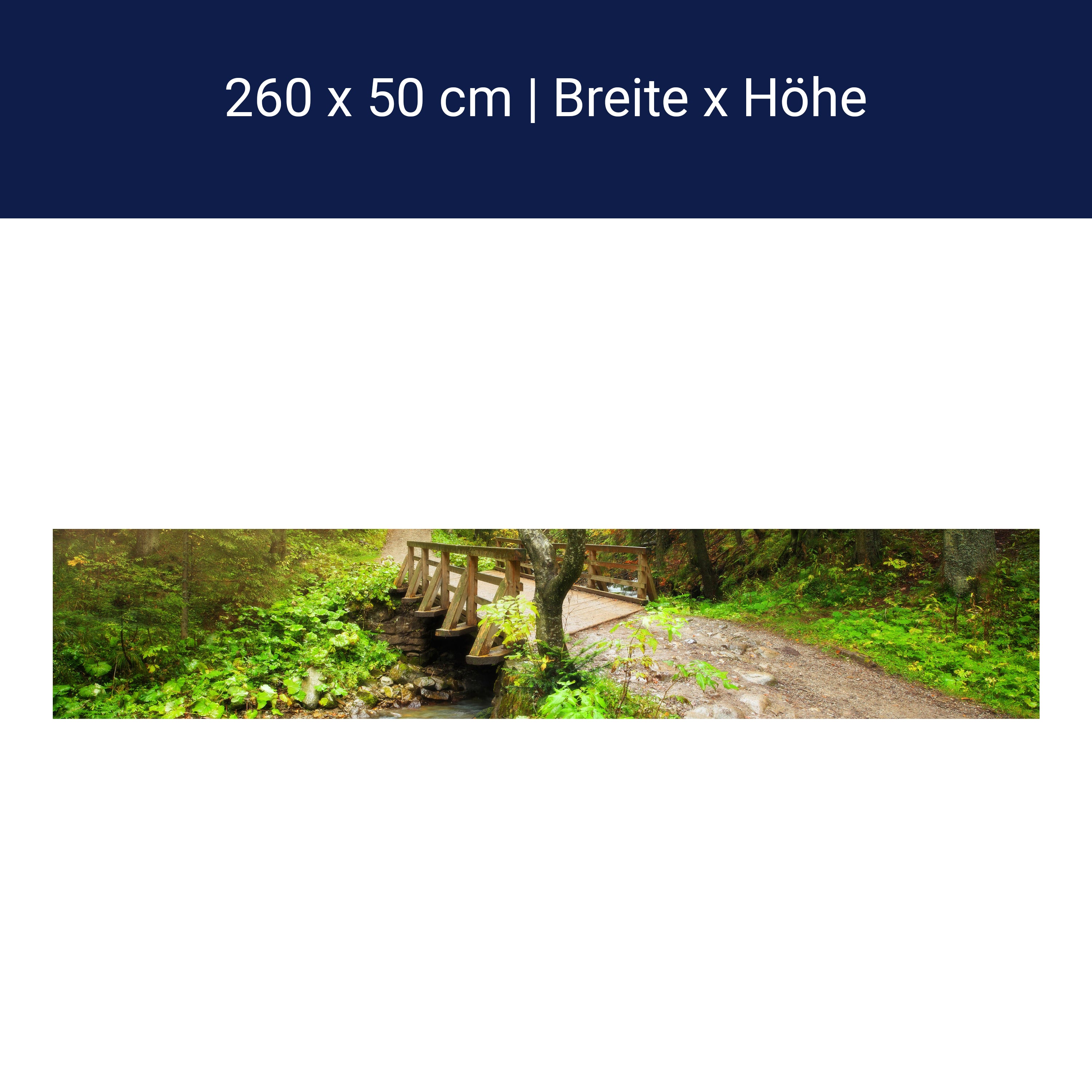 Küchenrückwand Waldweg mit Bach M0397 Küchenrückwand Waldweg mit Bach M0397