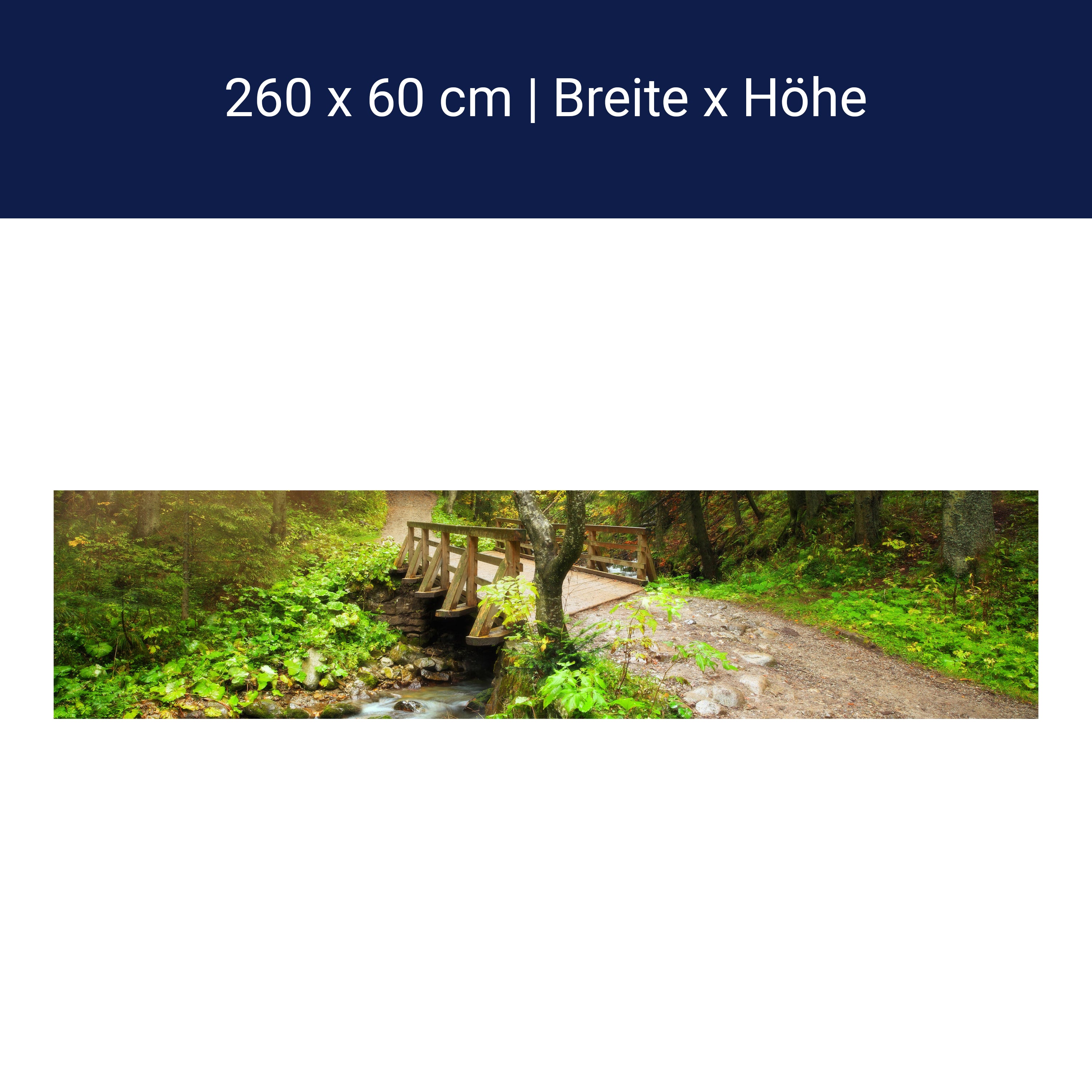 Küchenrückwand Waldweg mit Bach M0397 Küchenrückwand Waldweg mit Bach M0397