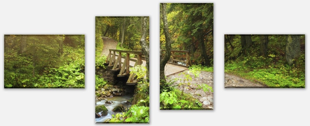 Leinwandbild Mehrteiler Waldweg mit Bach M0397 Leinwandbild Mehrteiler Waldweg mit Bach M0397