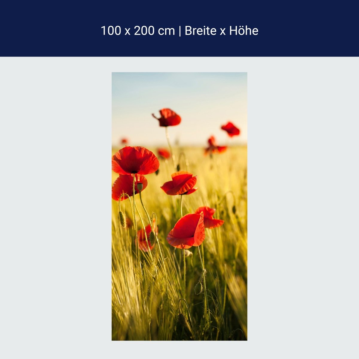 Duschwand Kornfeld mit Mohnblumen M0398 Duschwand Kornfeld mit Mohnblumen M0398