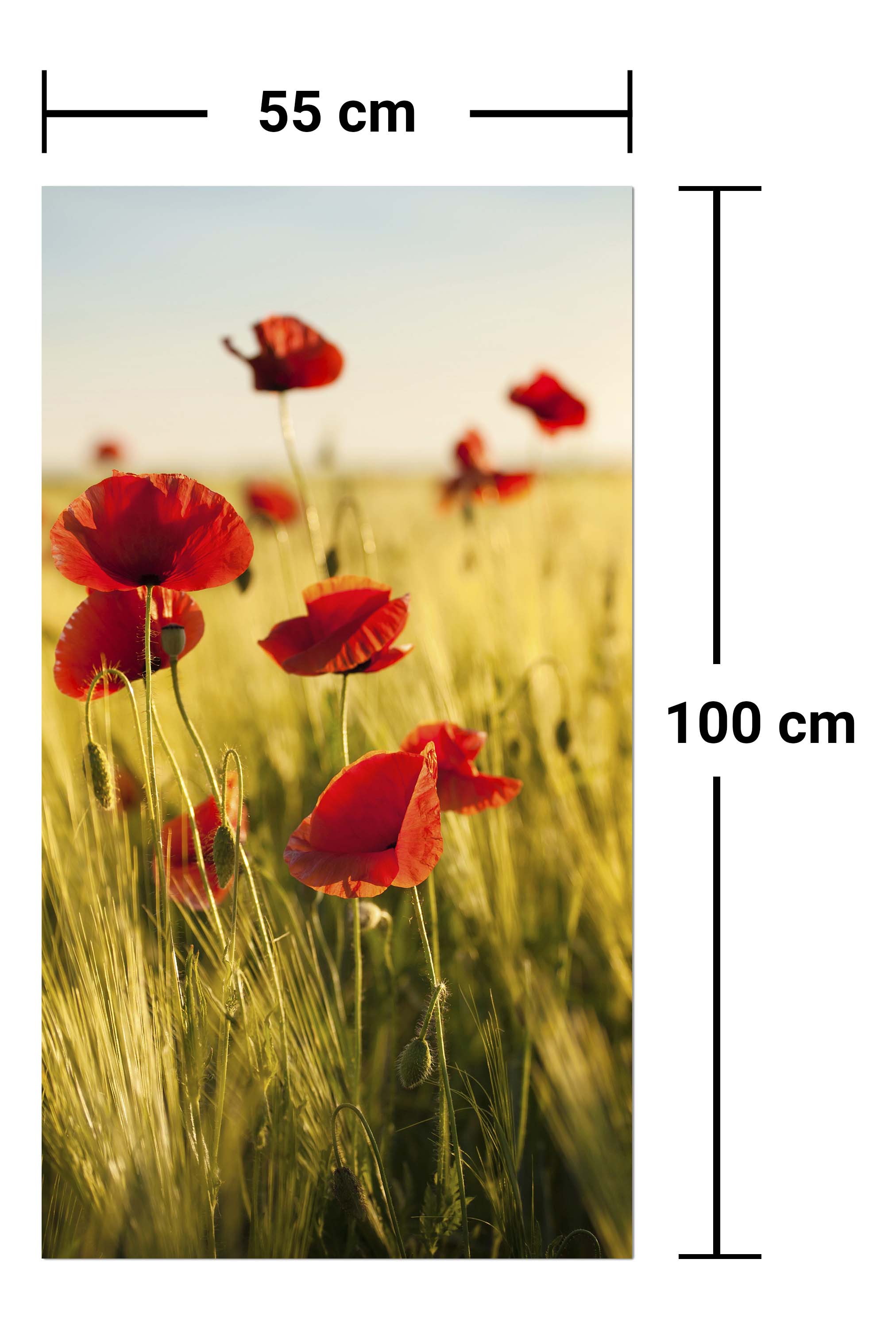 Garderobe Kornfeld mit Mohnblumen M0398 entdecken - Bild 7 Garderobe Kornfeld mit Mohnblumen M0398 entdecken - Bild 7