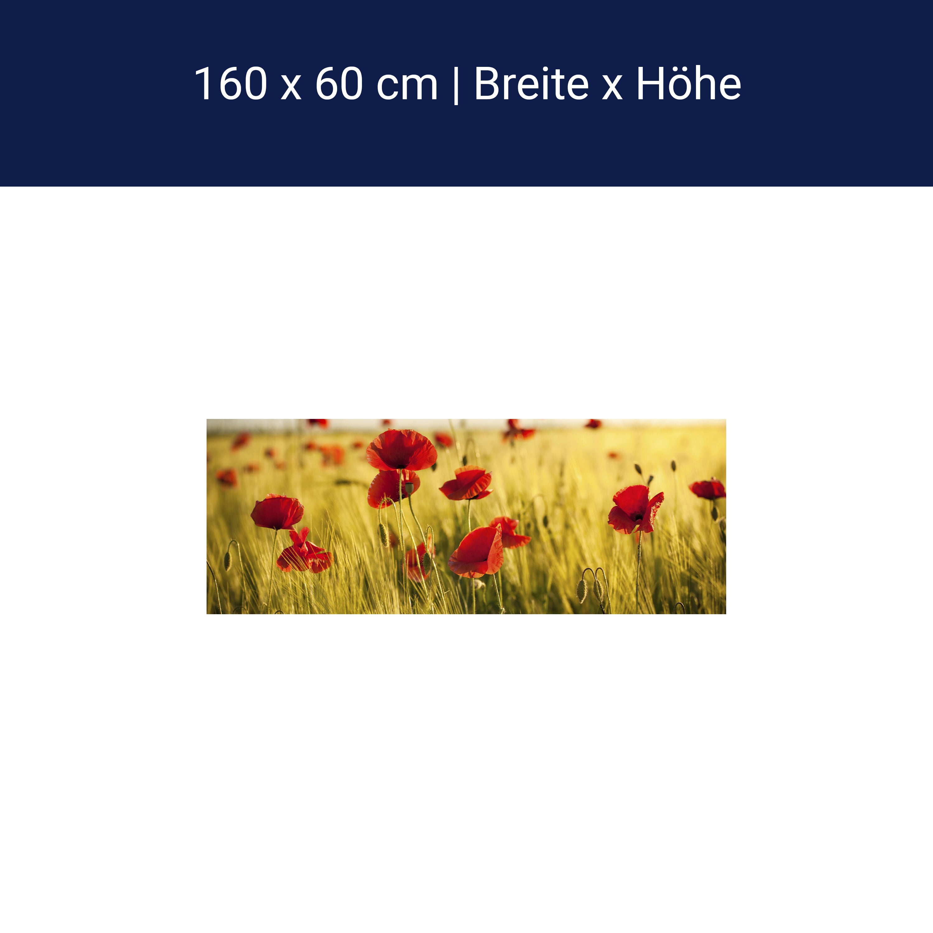 Küchenrückwand Kornfeld mit Mohnblumen M0398 Küchenrückwand Kornfeld mit Mohnblumen M0398