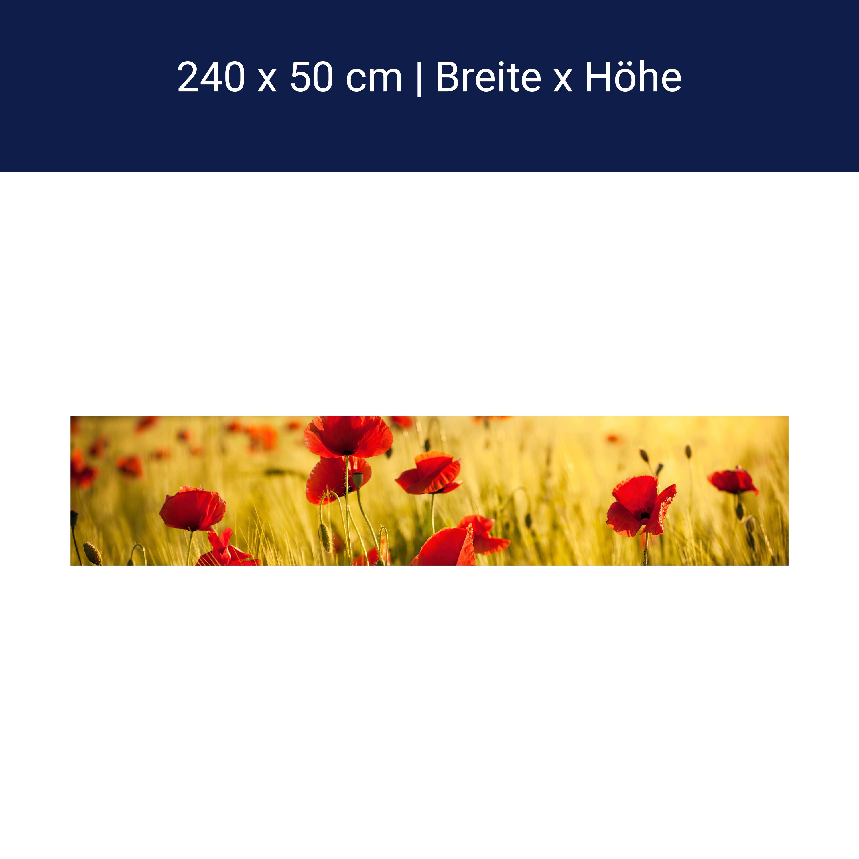 Küchenrückwand Kornfeld mit Mohnblumen M0398 Küchenrückwand Kornfeld mit Mohnblumen M0398