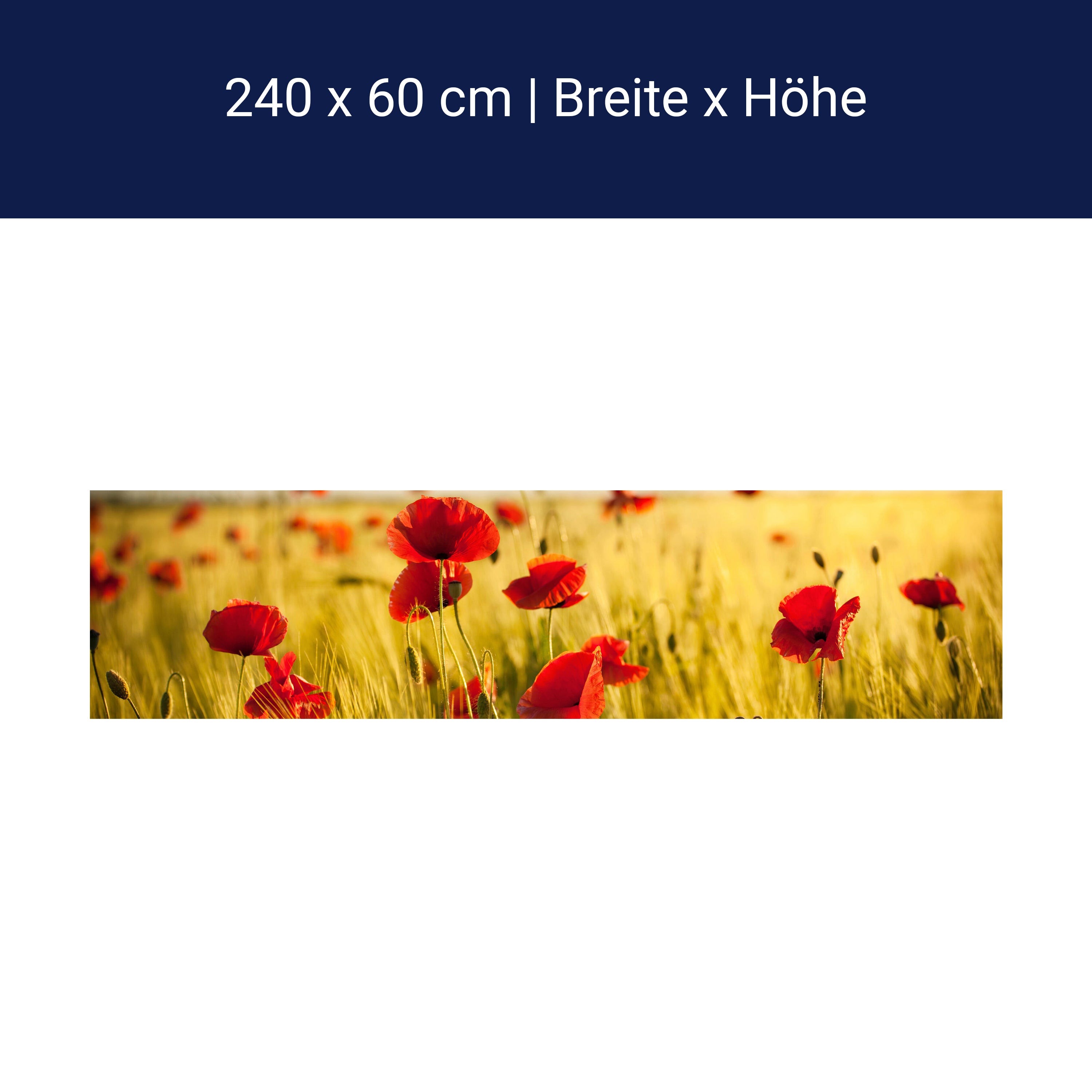 Küchenrückwand Kornfeld mit Mohnblumen M0398 Küchenrückwand Kornfeld mit Mohnblumen M0398