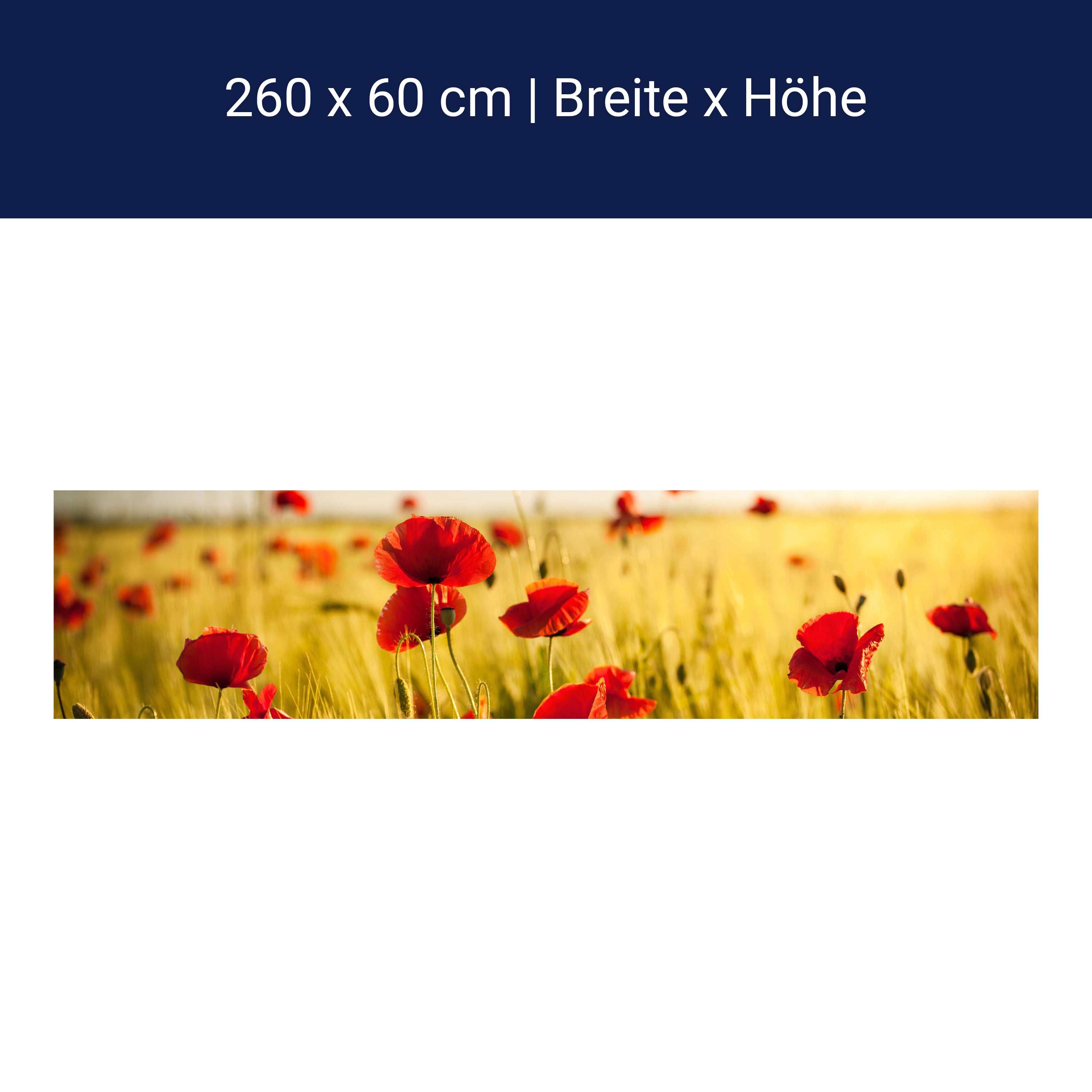 Küchenrückwand Kornfeld mit Mohnblumen M0398 Küchenrückwand Kornfeld mit Mohnblumen M0398