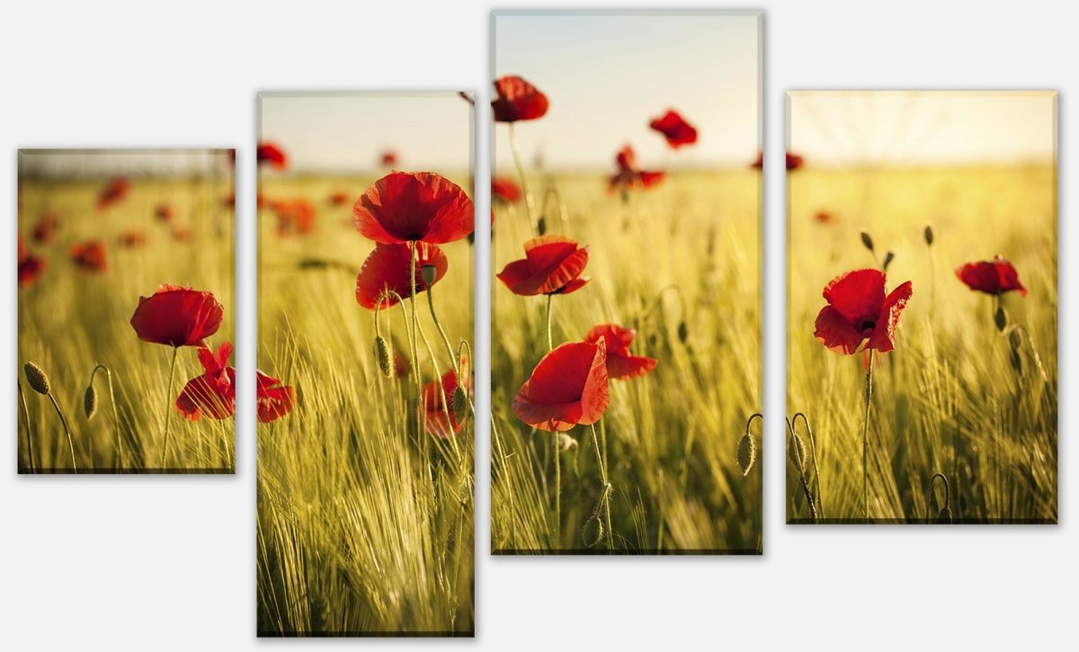Leinwandbild Mehrteiler Kornfeld mit Mohnblumen M0398 Leinwandbild Mehrteiler Kornfeld mit Mohnblumen M0398