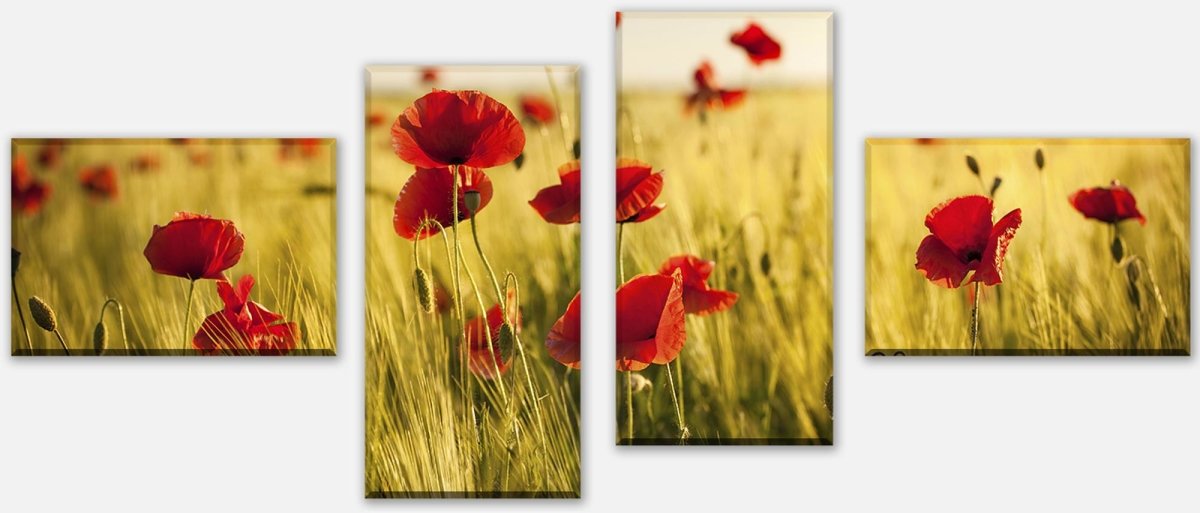 Leinwandbild Mehrteiler Kornfeld mit Mohnblumen M0398 Leinwandbild Mehrteiler Kornfeld mit Mohnblumen M0398