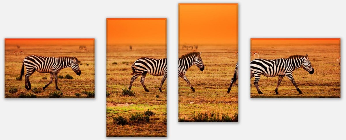 Leinwandbild Mehrteiler Zebras in der Savanne M0403 Leinwandbild Mehrteiler Zebras in der Savanne M0403