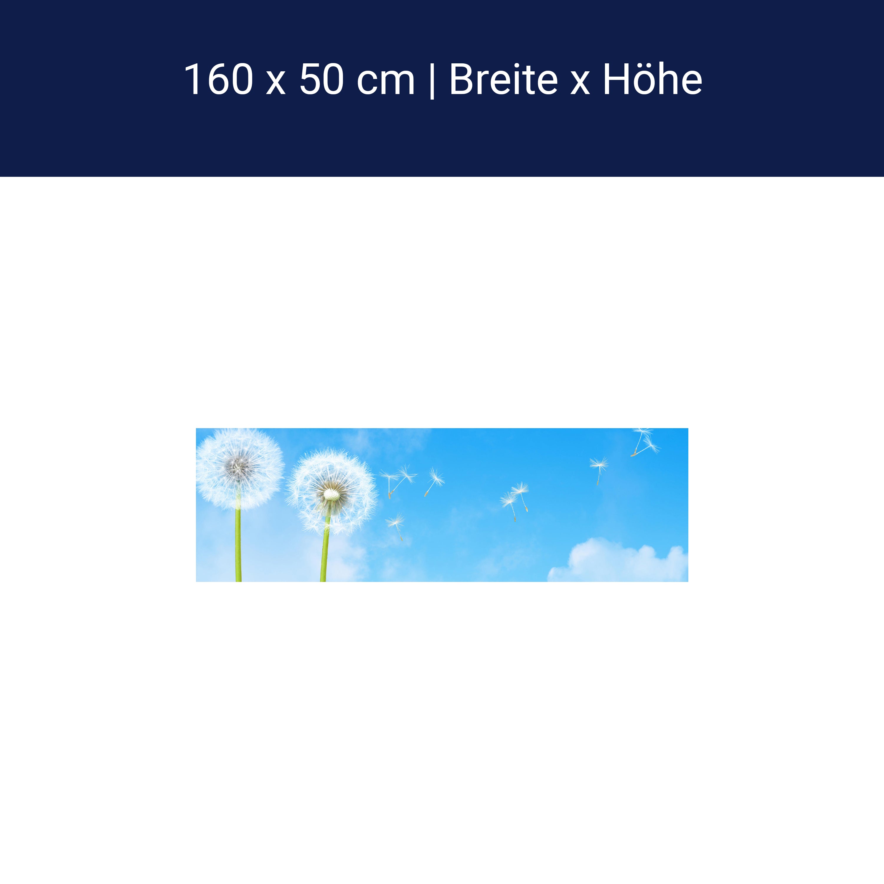 Küchenrückwand Pusteblumen M0416 Küchenrückwand Pusteblumen M0416