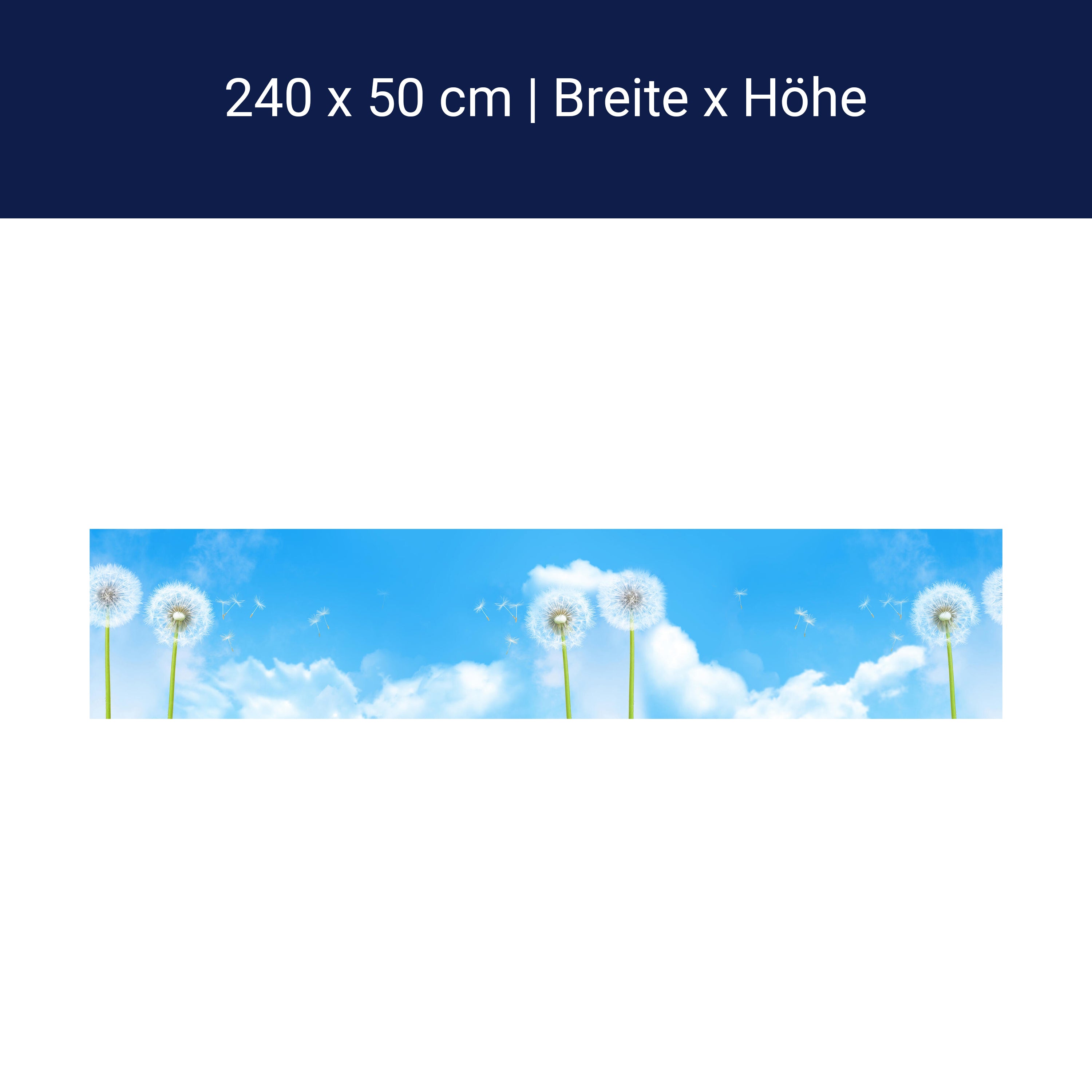 Küchenrückwand Pusteblumen M0416 Küchenrückwand Pusteblumen M0416