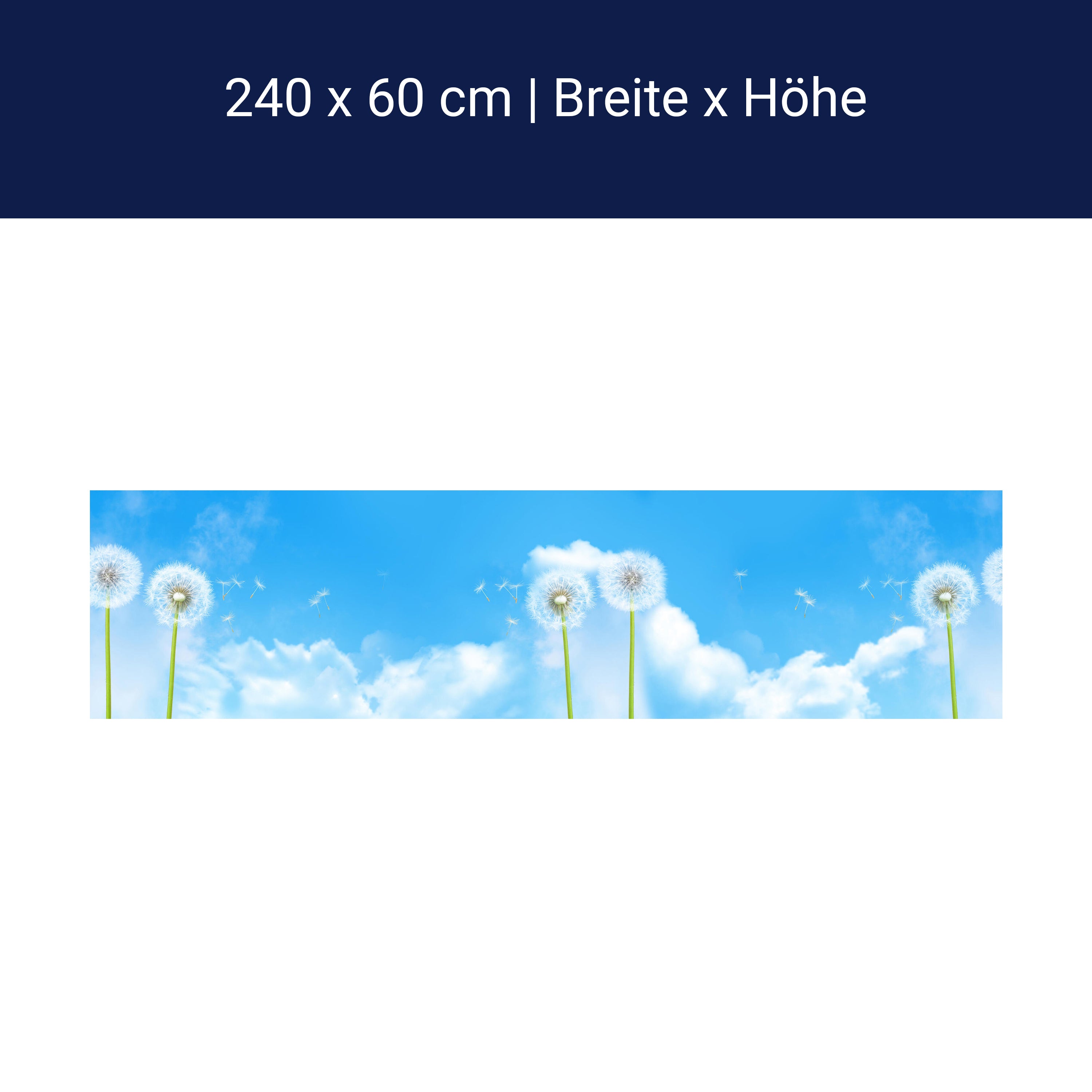 Küchenrückwand Pusteblumen M0416 Küchenrückwand Pusteblumen M0416