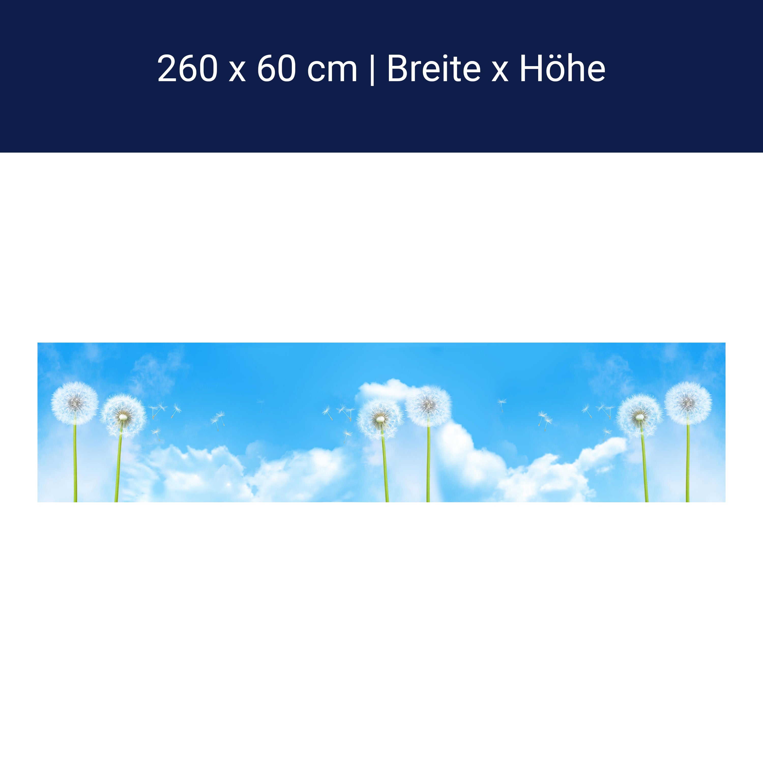 Küchenrückwand Pusteblumen M0416 Küchenrückwand Pusteblumen M0416