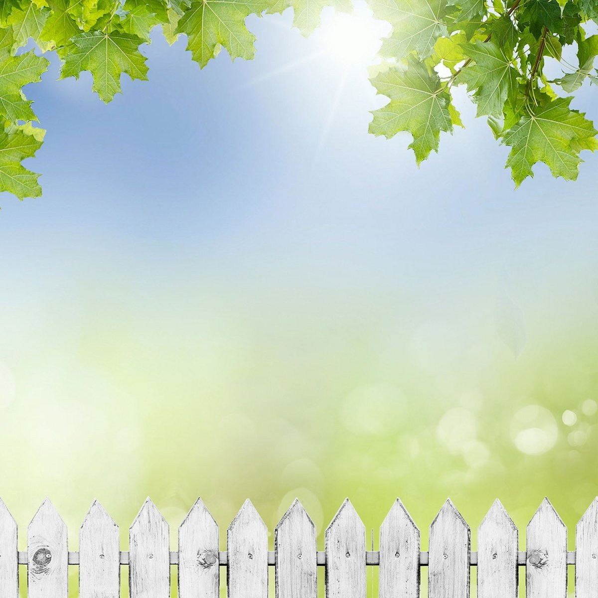 Beistelltisch Weißer Zaun mit Ahornzweigen M0419 entdecken - Bild 2 Beistelltisch Weißer Zaun mit Ahornzweigen M0419 entdecken - Bild 2